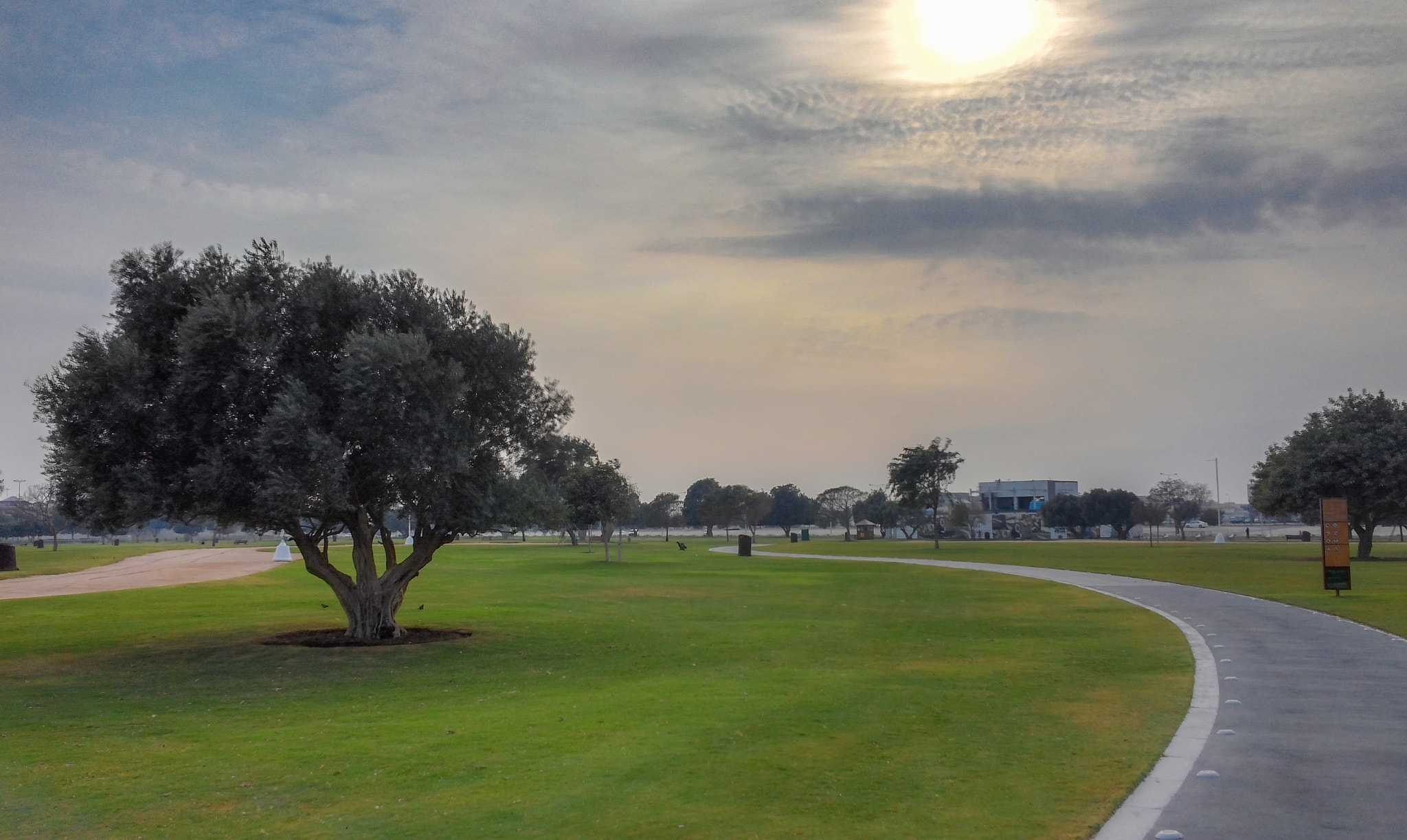 LG OPTIMUS G PRO sample photo. Aspire park doha photography