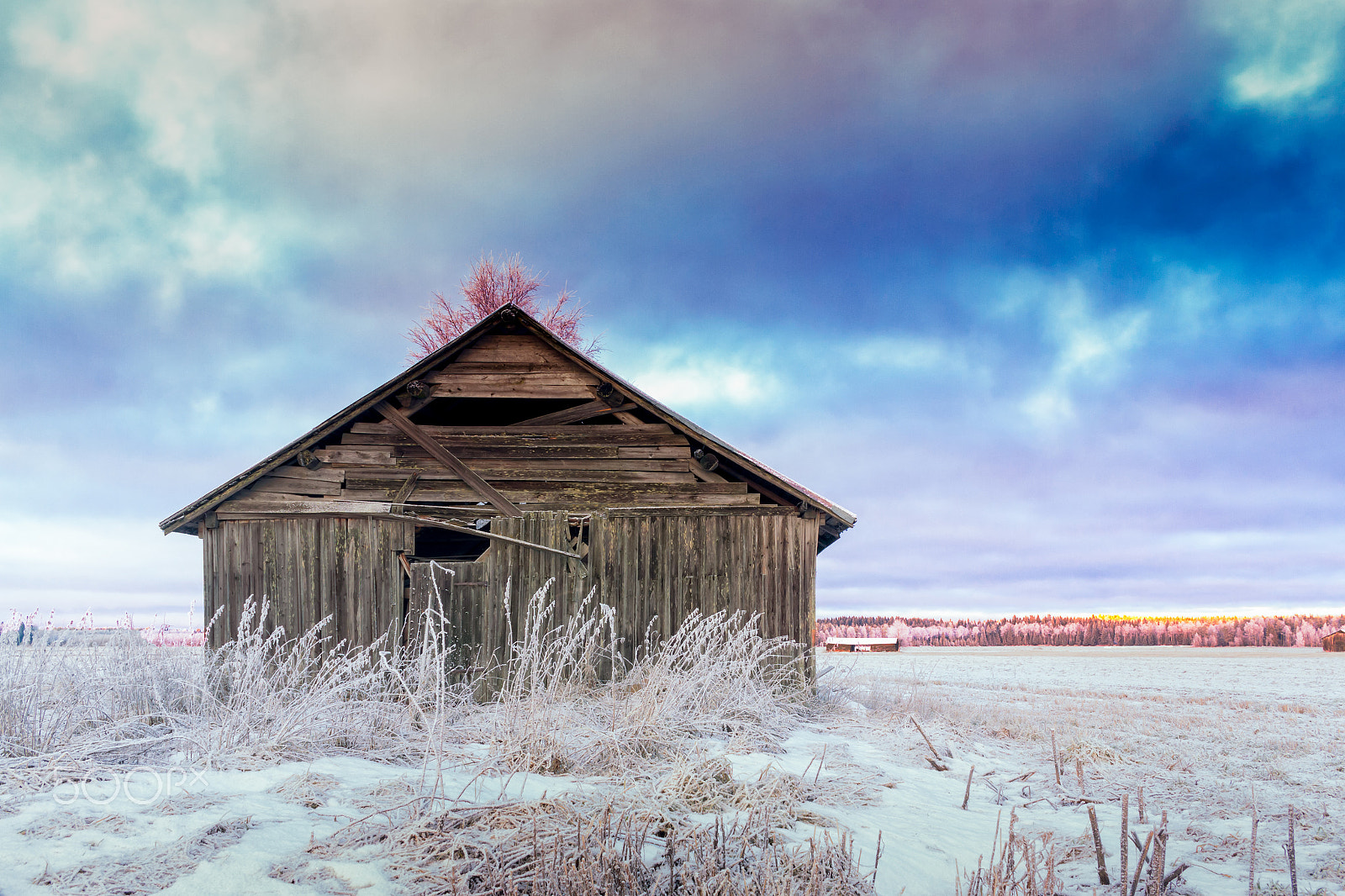 Canon EF-S 24mm F2.8 STM sample photo. Barn house on the frosty fields photography