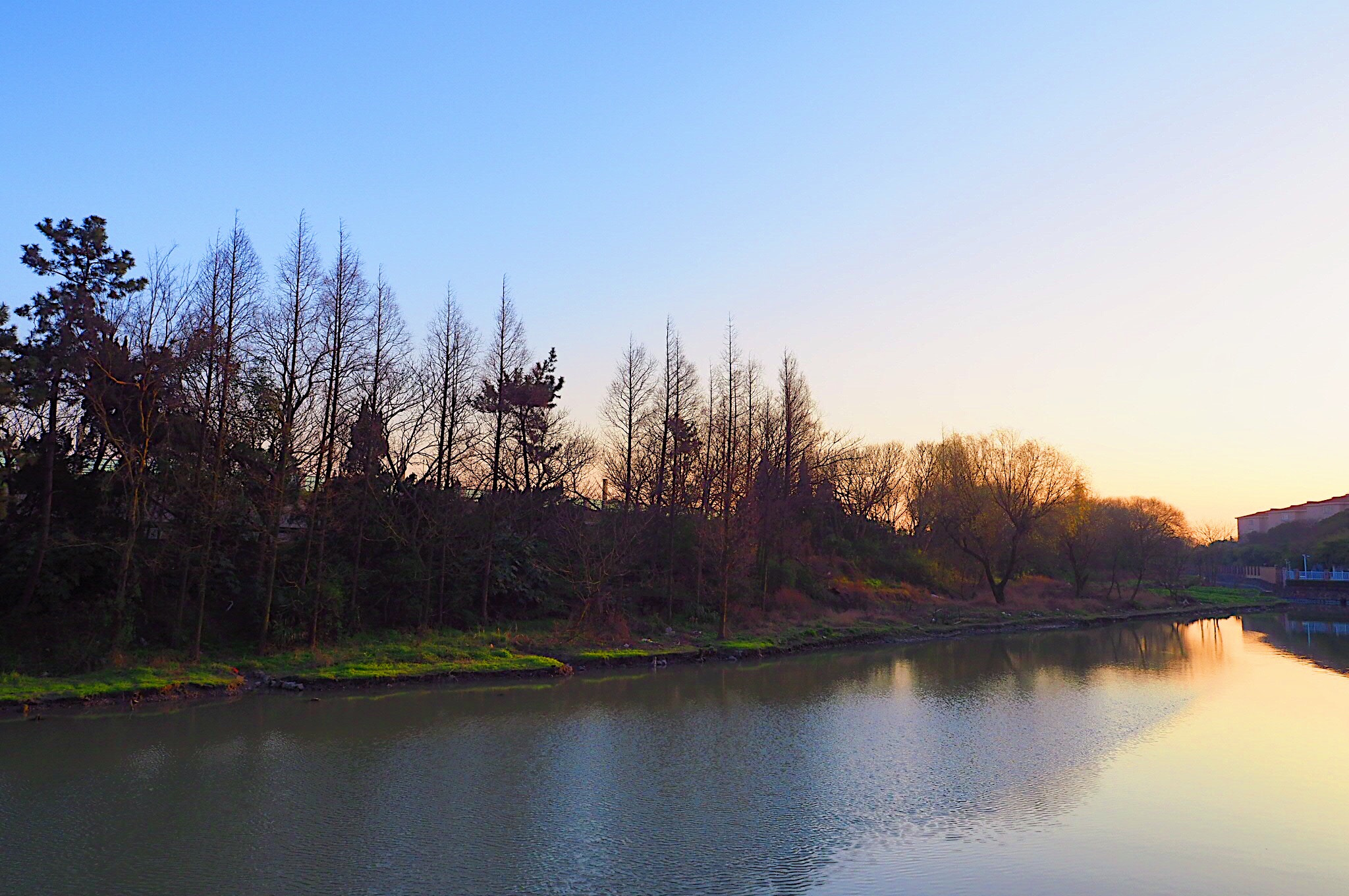 Olympus PEN-F + OLYMPUS M.12mm F2.0 sample photo. 小区后院 photography