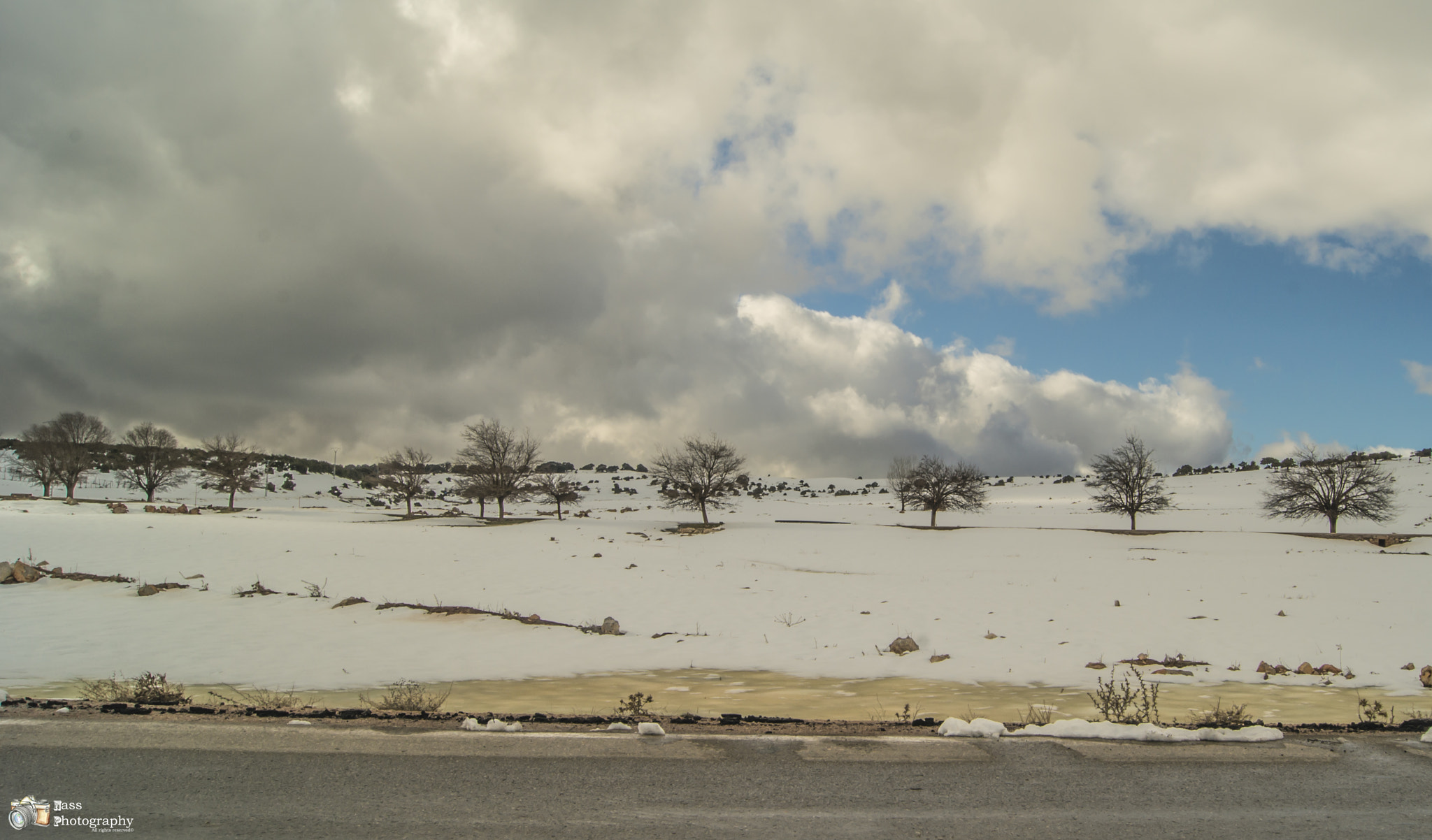 Sony SLT-A55 (SLT-A55V) sample photo
