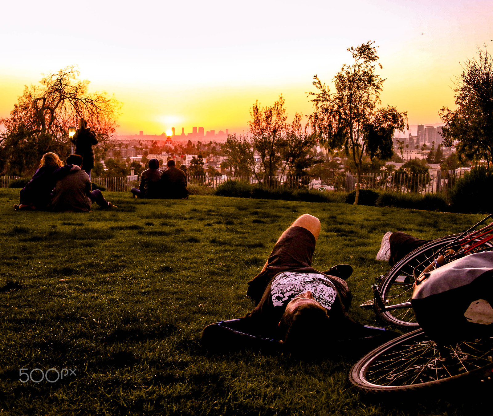 Canon TS-E 90mm F2.8 Tilt-Shift sample photo. Golden hour at barnsdall park photography