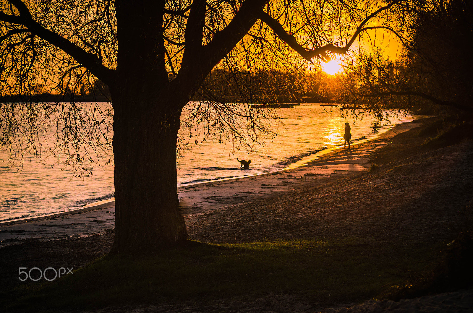 Nikon D7000 + AF Nikkor 70-210mm f/4-5.6 sample photo. Sunrise enkhuizerstrand (enkhuizer beach) photography