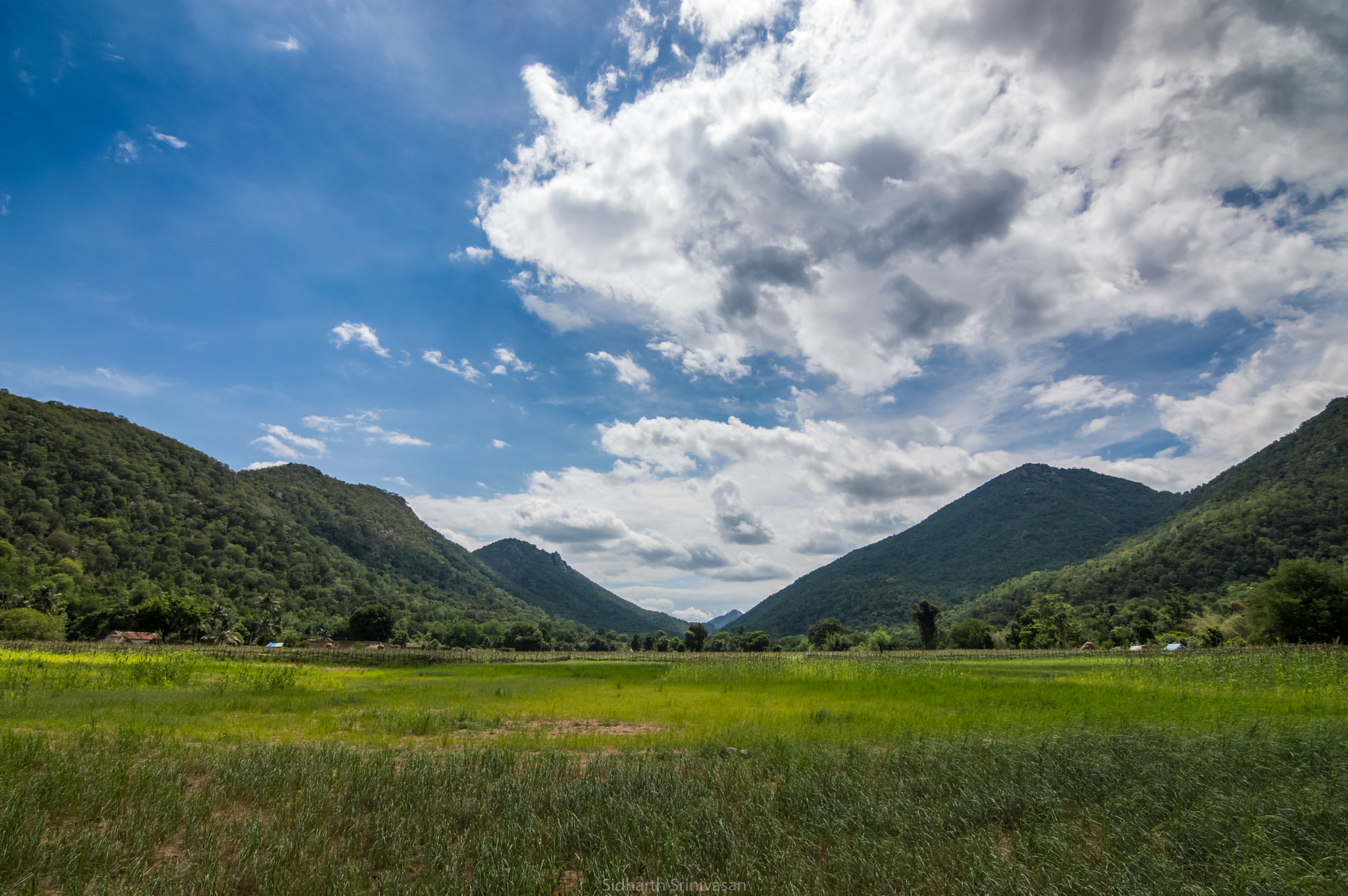 Nikon D3200 sample photo. "one sees great things from the valley; only small things from the peak." photography
