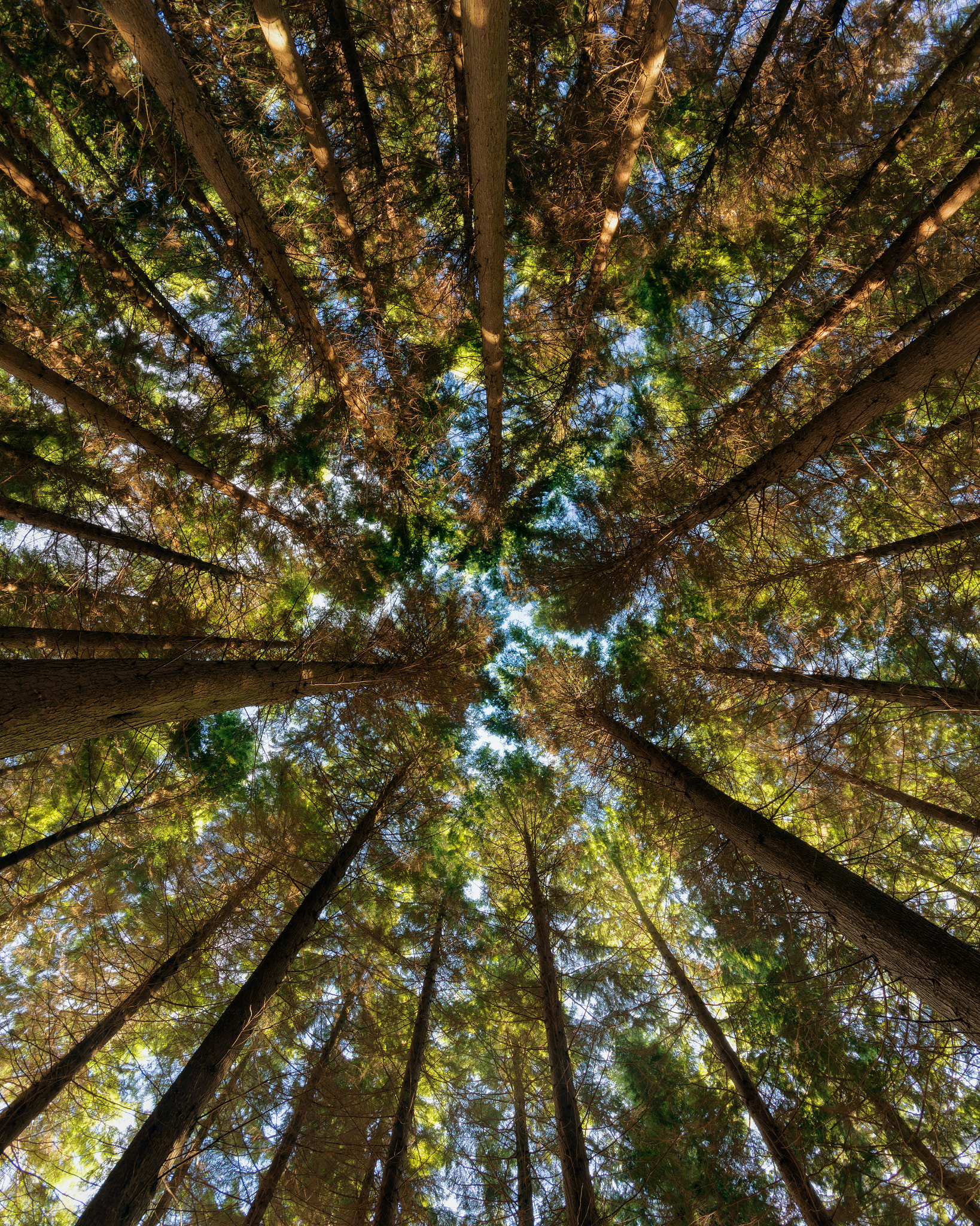 Sigma 10-20mm F4-5.6 EX DC HSM sample photo. Breathe photography