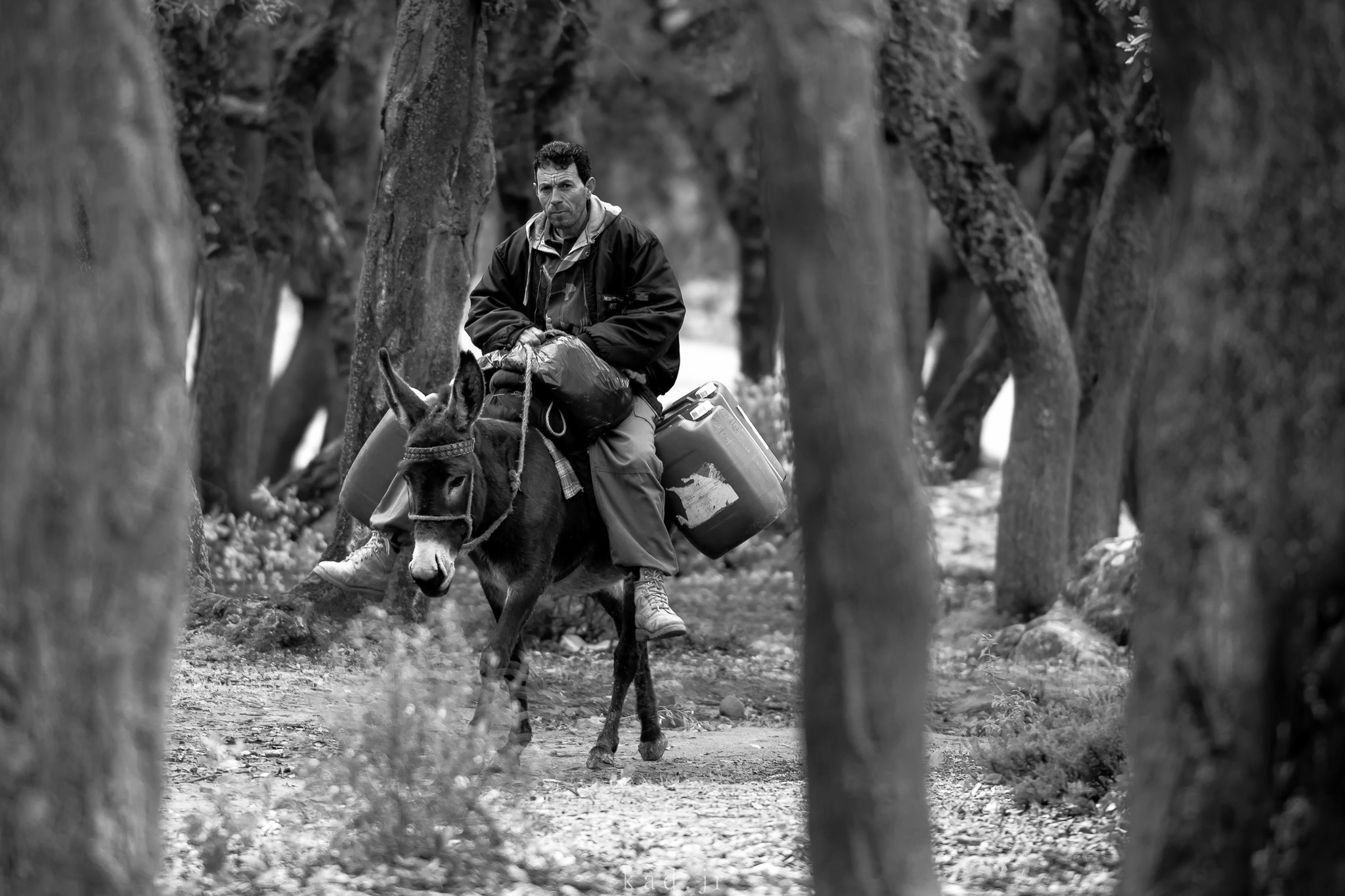 Nikon AF-S Nikkor 70-200mm F2.8G ED VR II sample photo. A ride into the woods ! photography