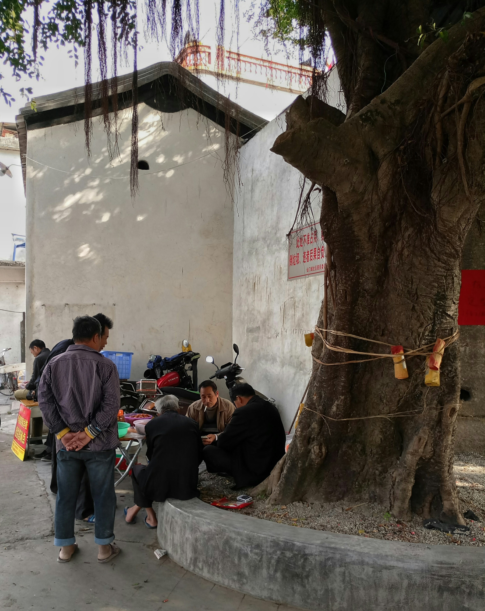 Meizu MX6 sample photo