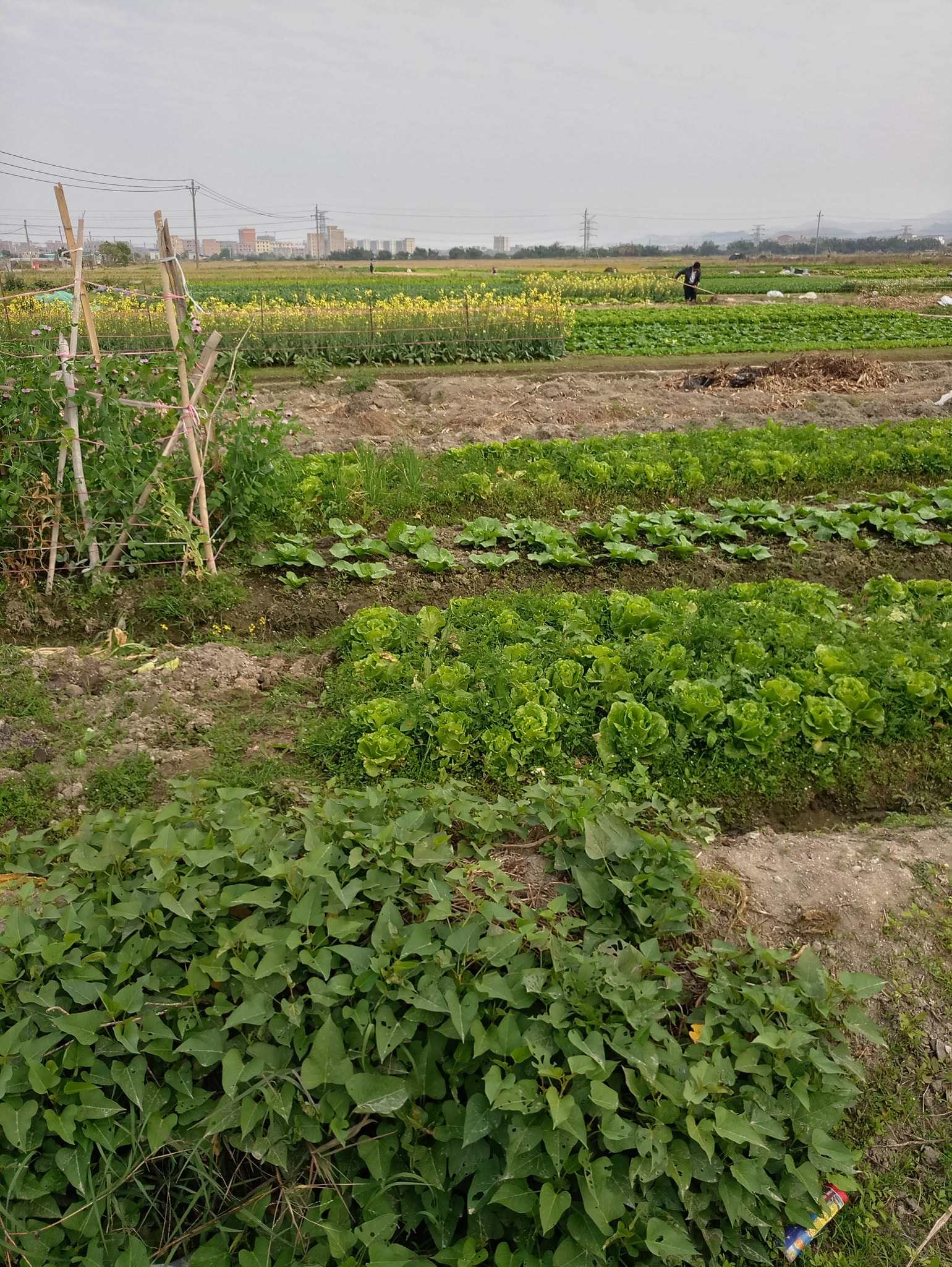 Meizu MX6 sample photo