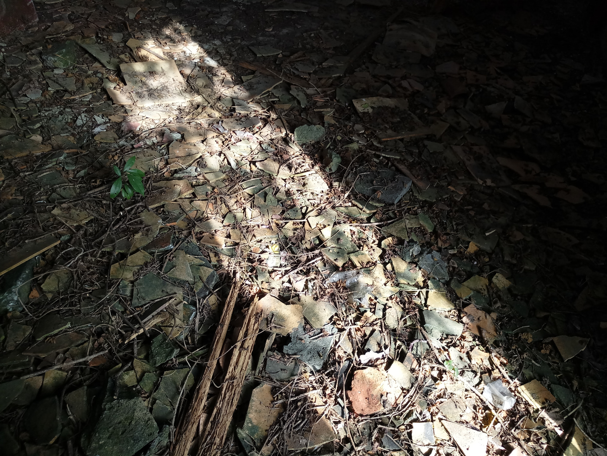 Meizu MX6 sample photo