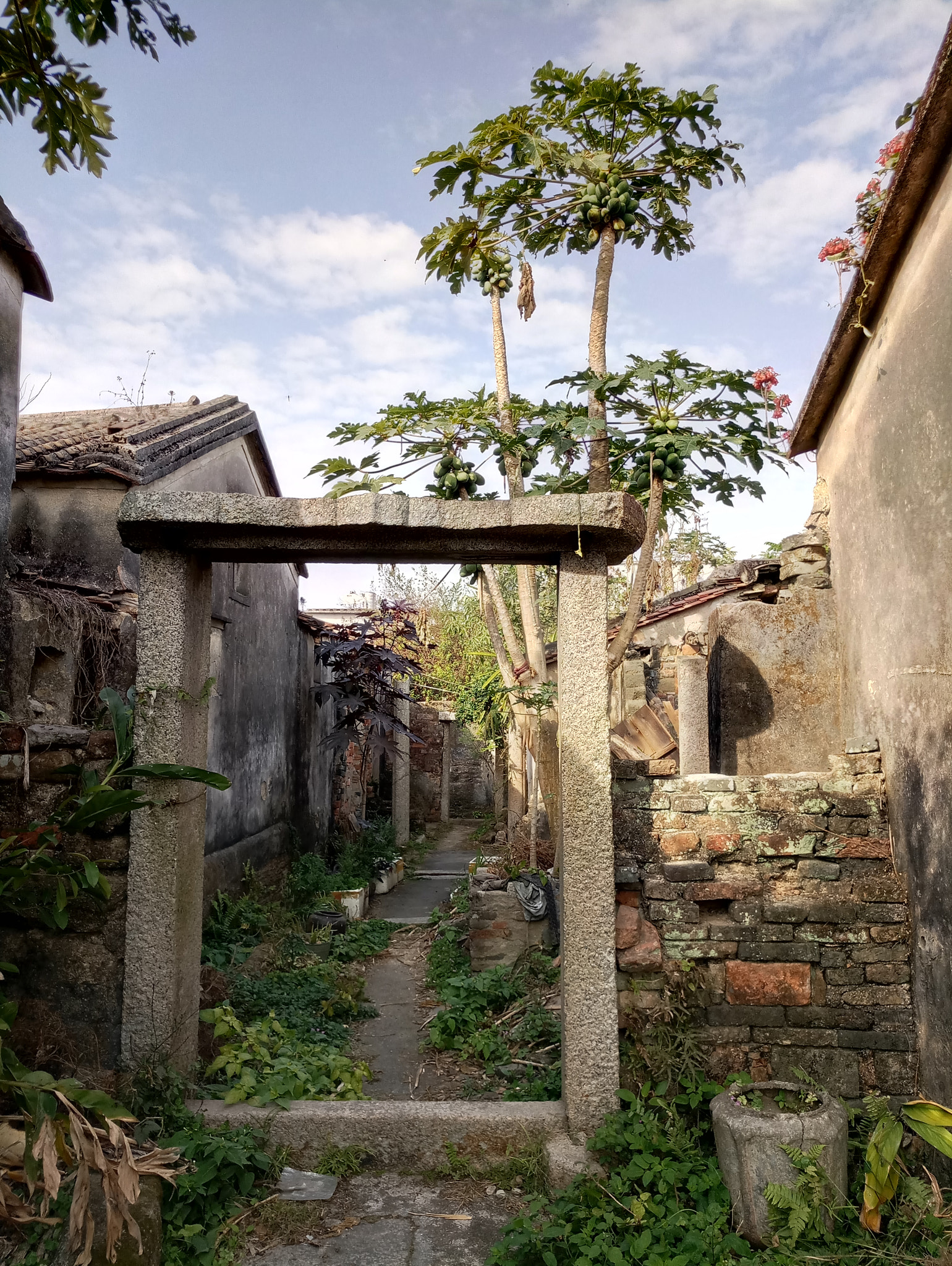 Meizu MX6 sample photo