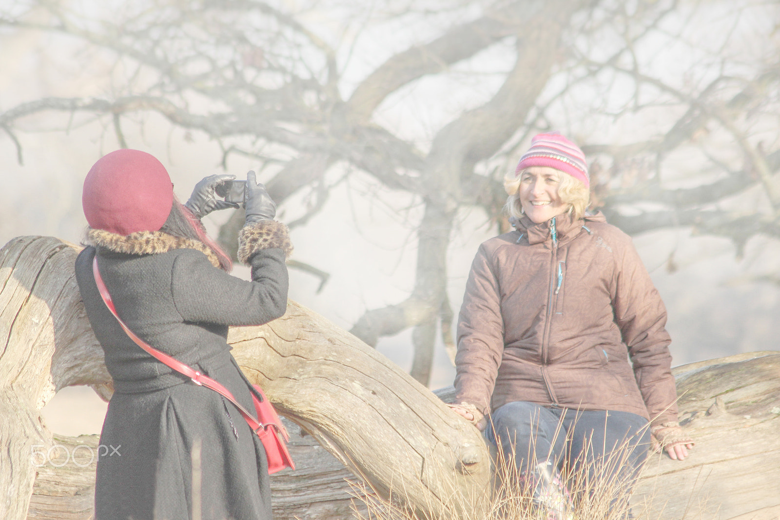 Canon EF 75-300mm F4.0-5.6 IS USM sample photo. Adding to our memories photography