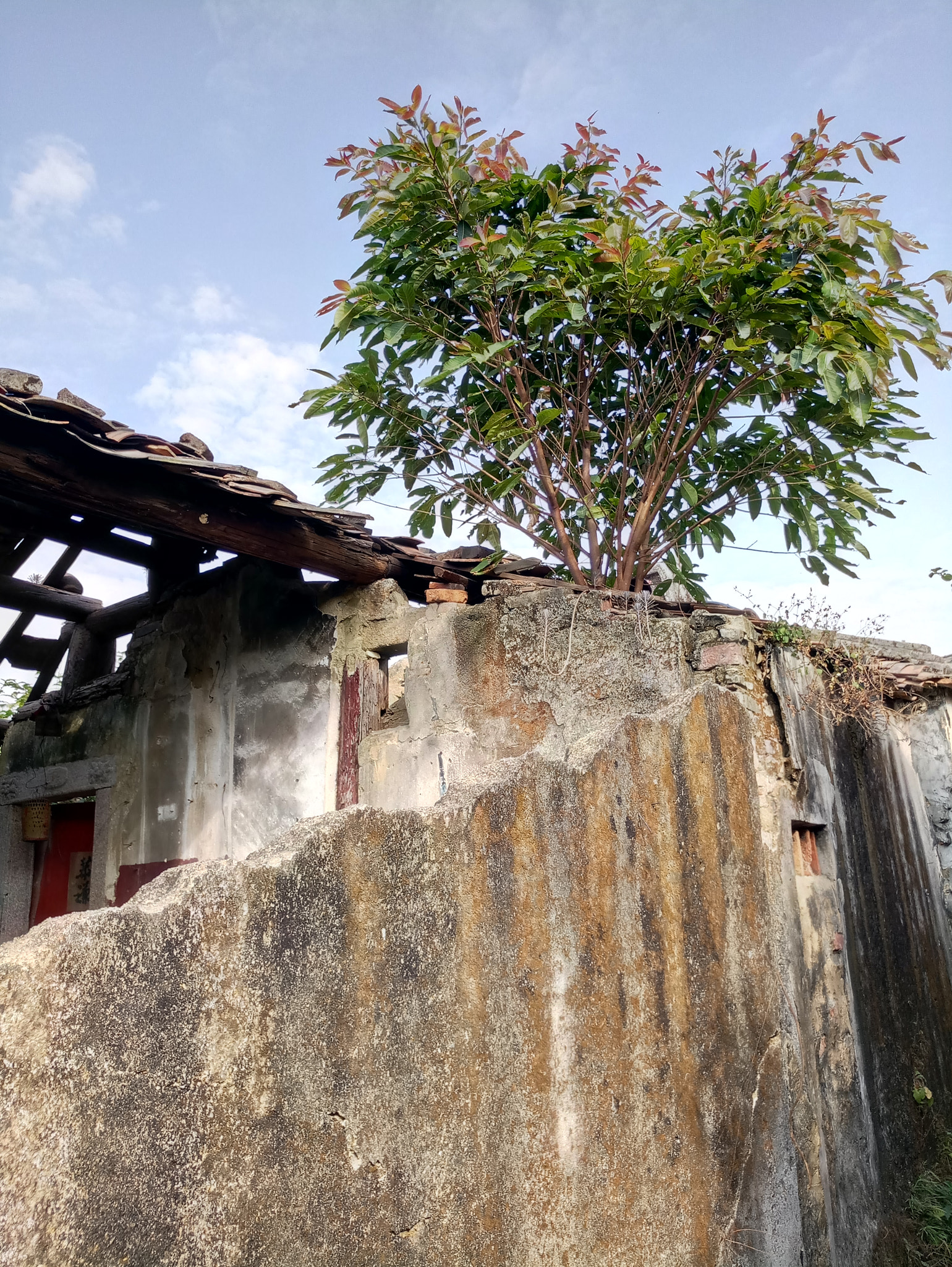 Meizu MX6 sample photo