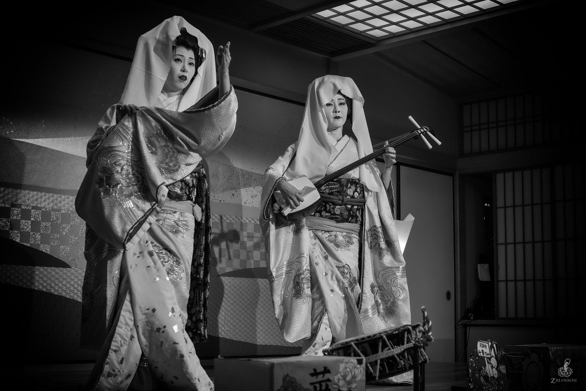Leica Noctilux-M 50mm F0.95 ASPH sample photo. Geisha performance photography