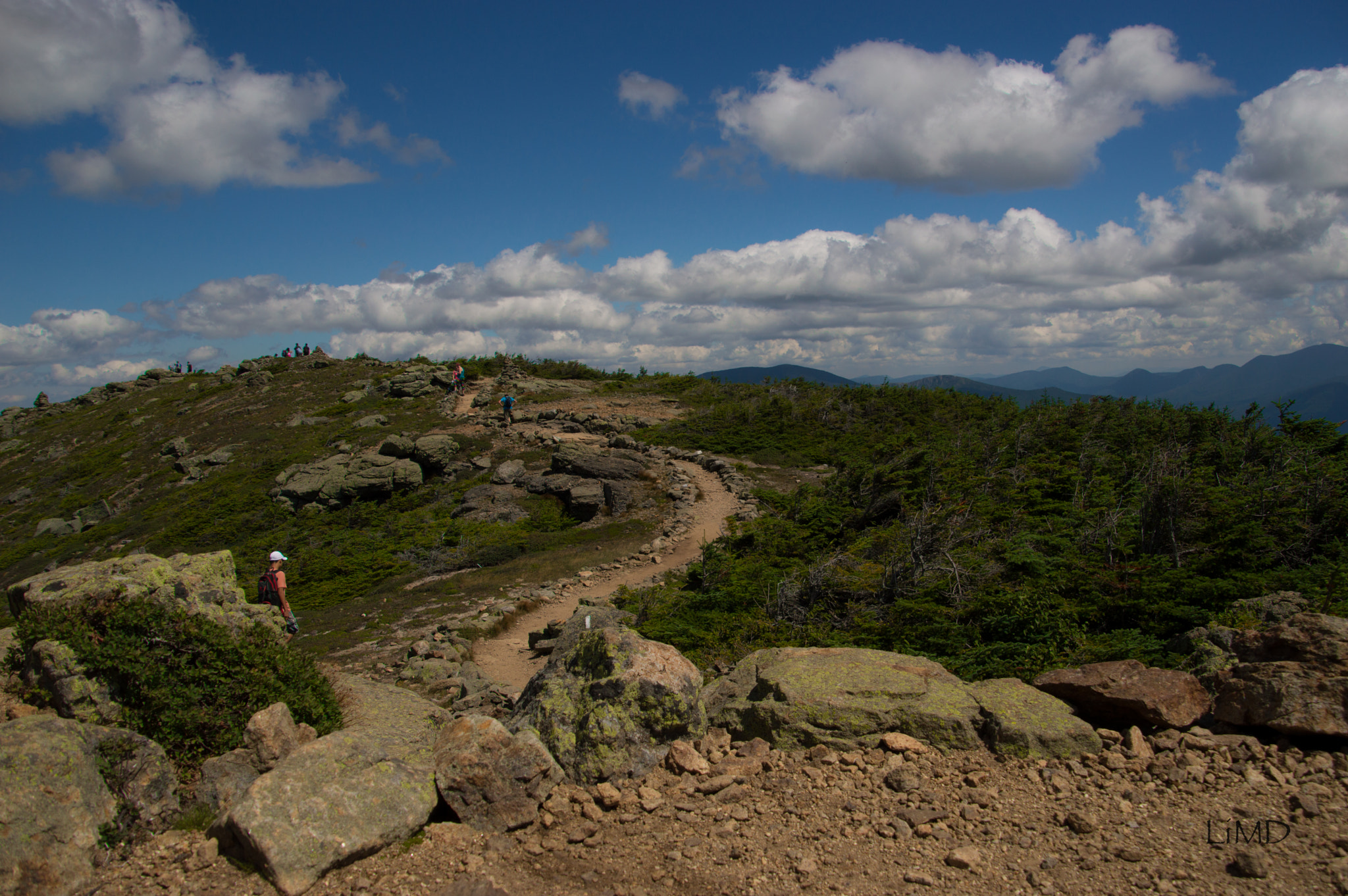 Nikon D3200 sample photo. Path photography