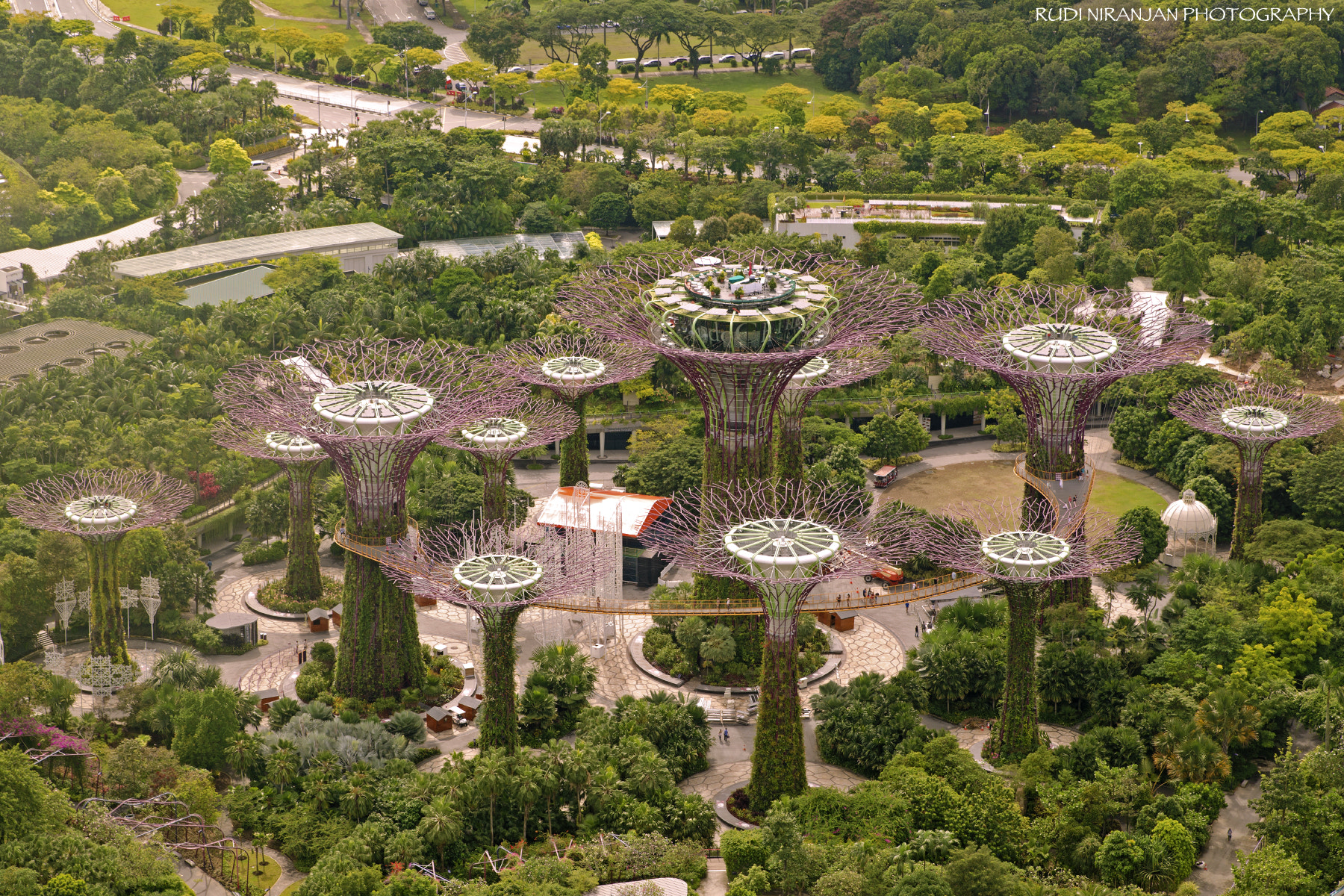 Tamron SP 24-70mm F2.8 Di VC USD sample photo. Gardens by the bay... photography
