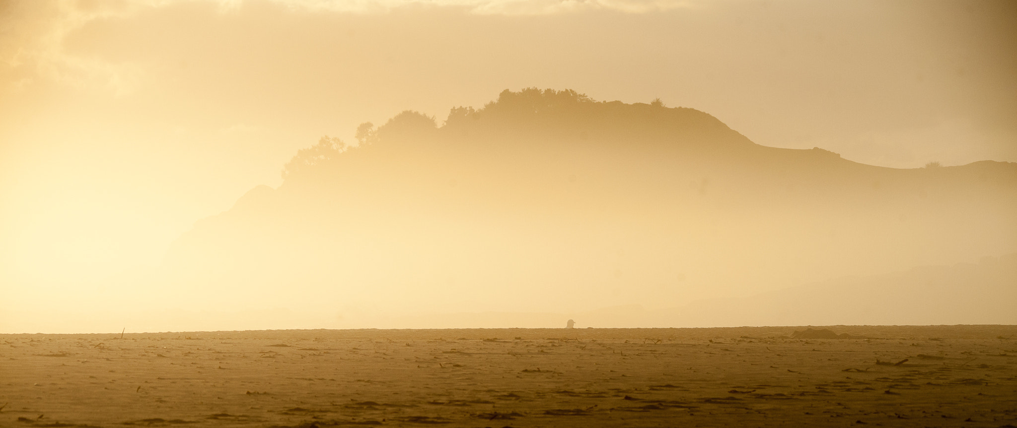 Nikon D3 + Sigma 150-500mm F5-6.3 DG OS HSM sample photo. Morning haze. photography