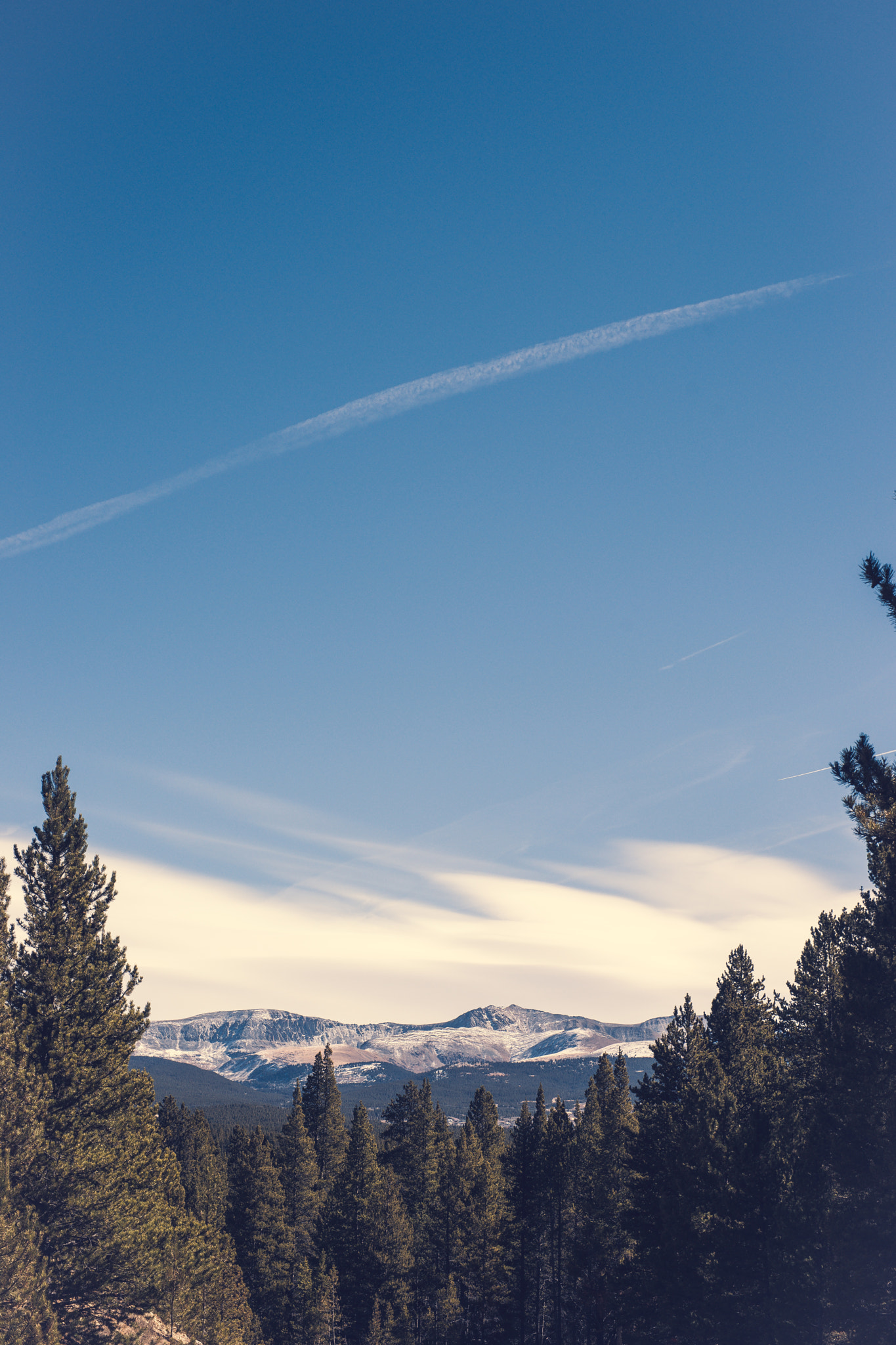 Sony Alpha DSLR-A900 + Sony 50mm F1.4 sample photo. Looking at the sky photography