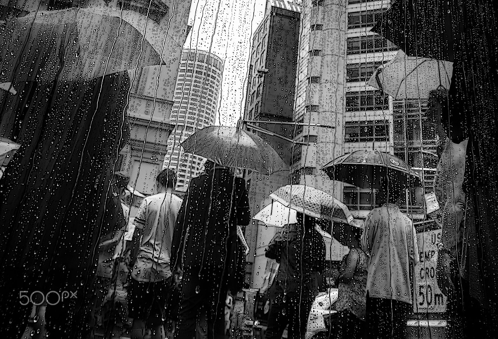 Canon EOS 70D + Sigma 24-105mm f/4 DG OS HSM | A sample photo. Umbrella parade. photography