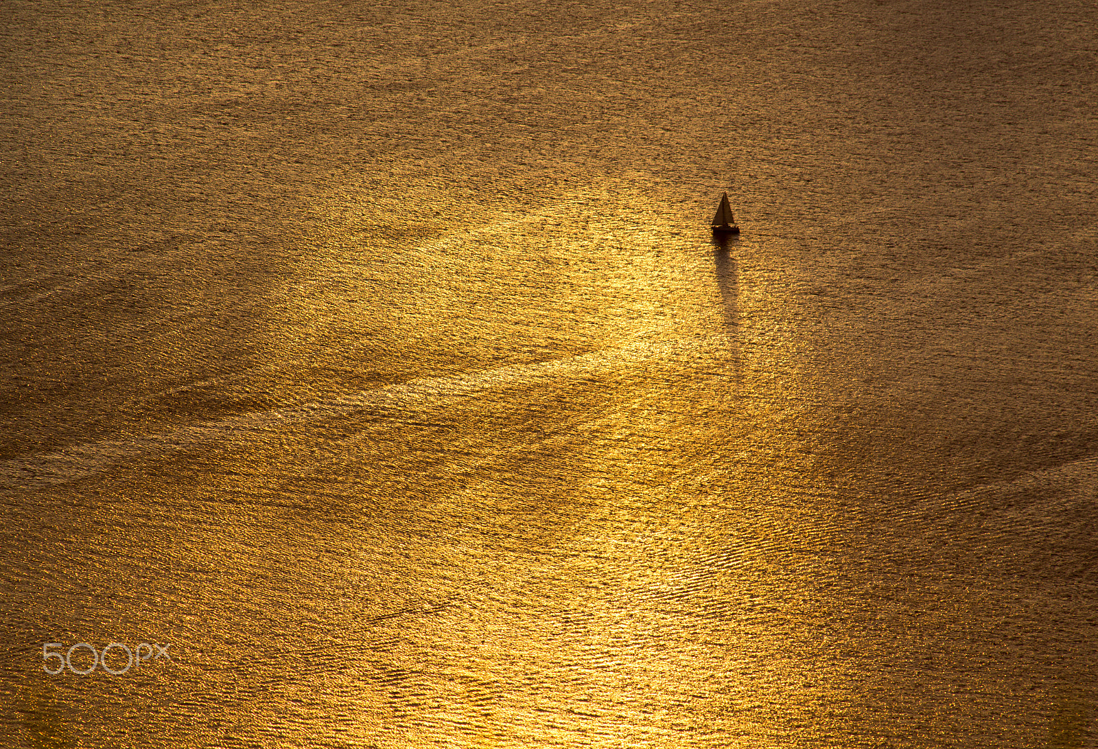 Canon EF 28-135mm F3.5-5.6 IS USM sample photo. Sailing the golden sea photography