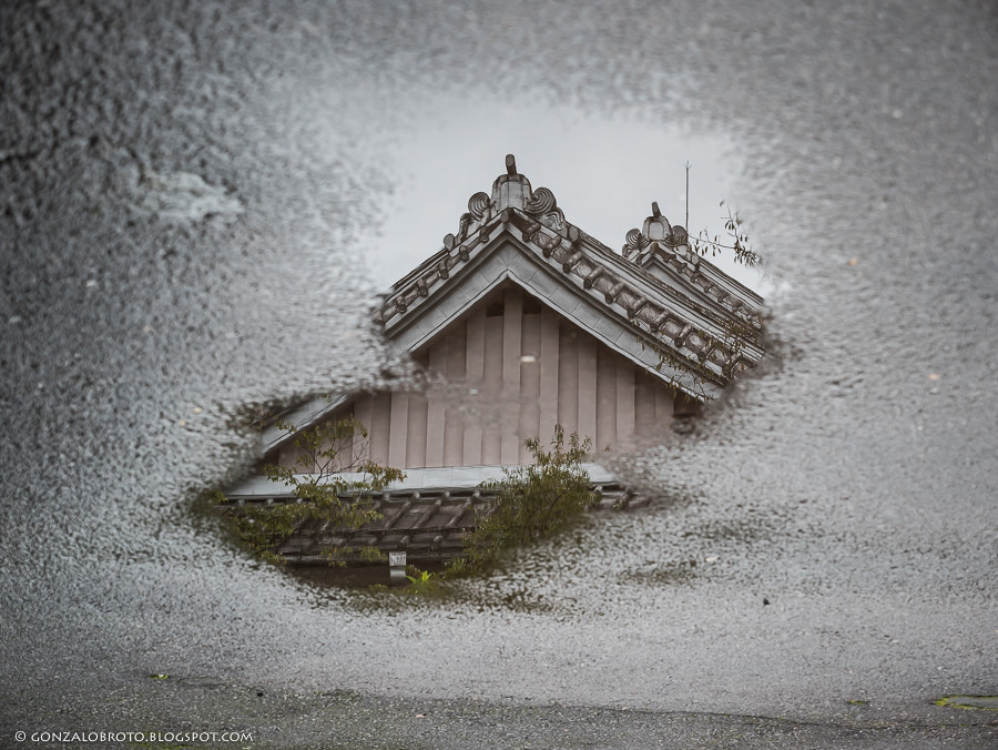 Panasonic Lumix G X Vario 12-35mm F2.8 ASPH Power OIS sample photo. The roof in the puddle photography