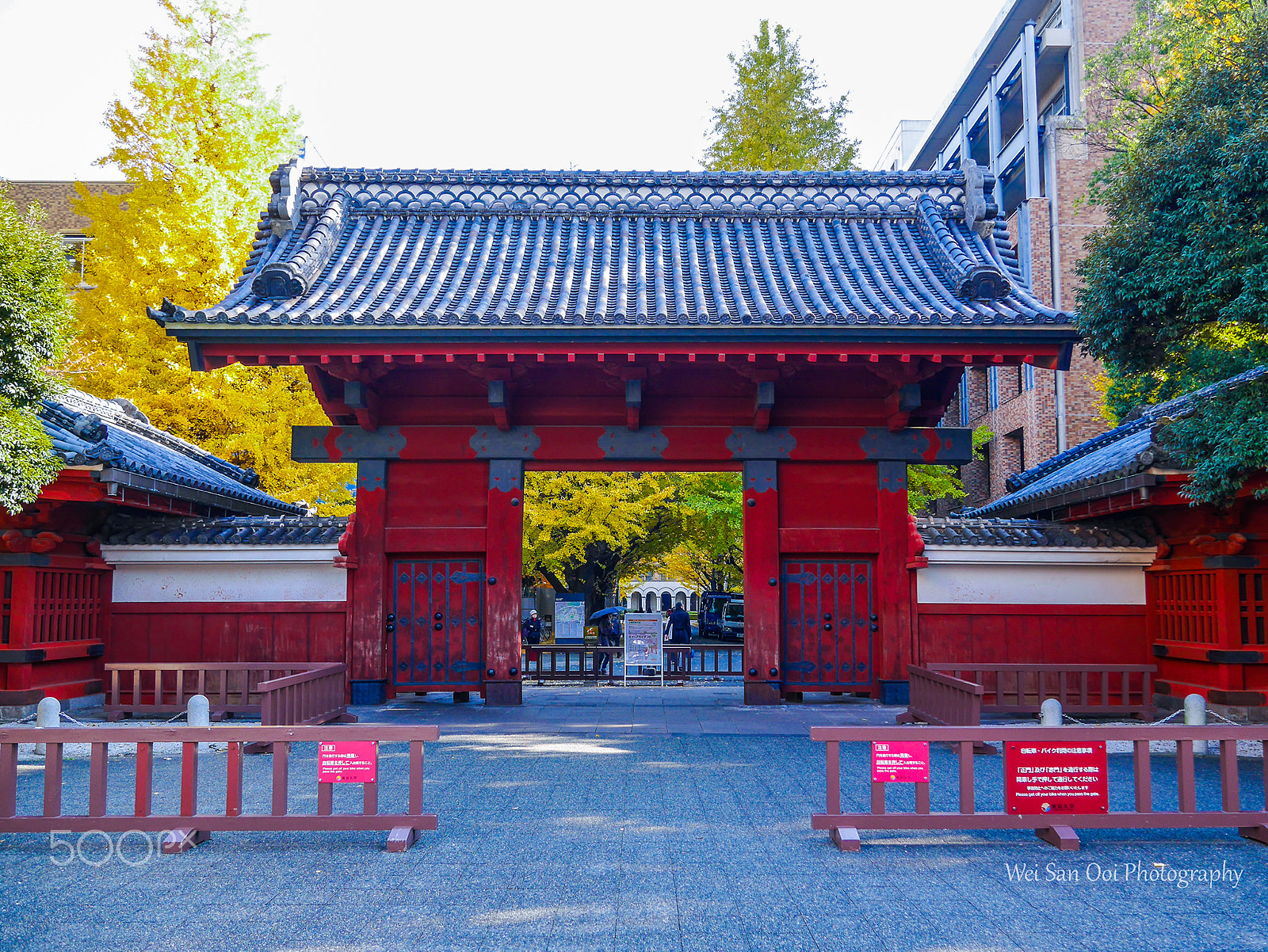 Panasonic Lumix DMC-GX7 sample photo. University of tokyo 06 photography