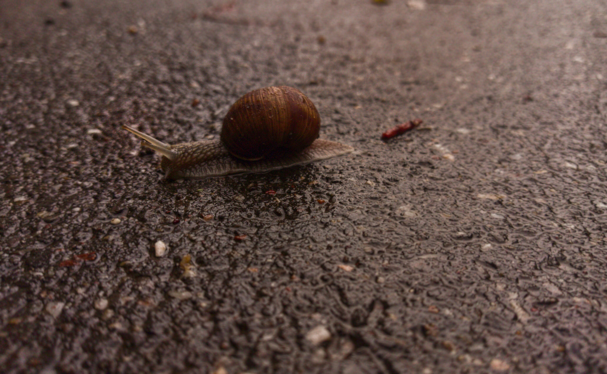 HTC ONE A9 sample photo