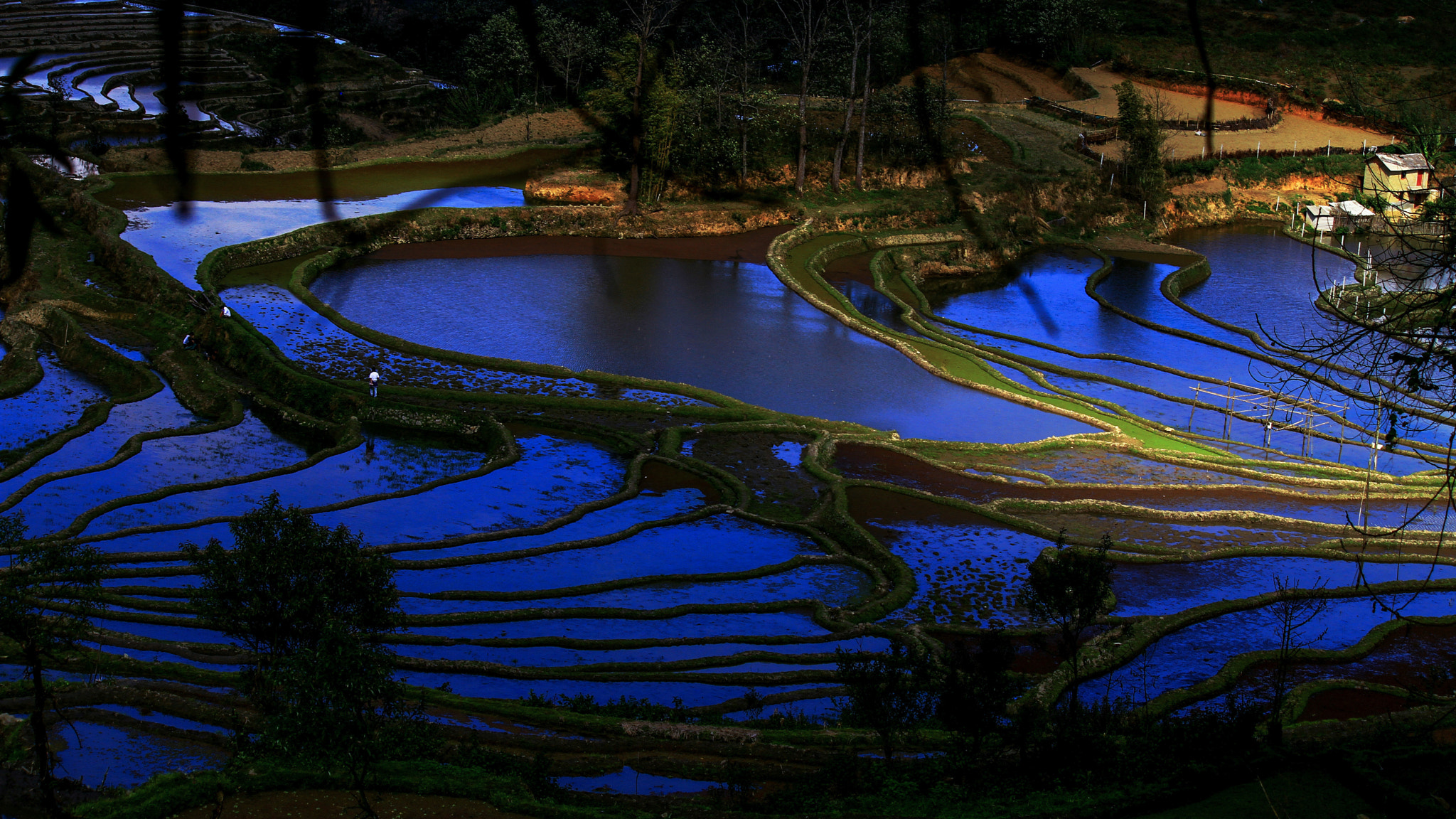 Canon EF-S 55-250mm F4-5.6 IS sample photo. Img photography