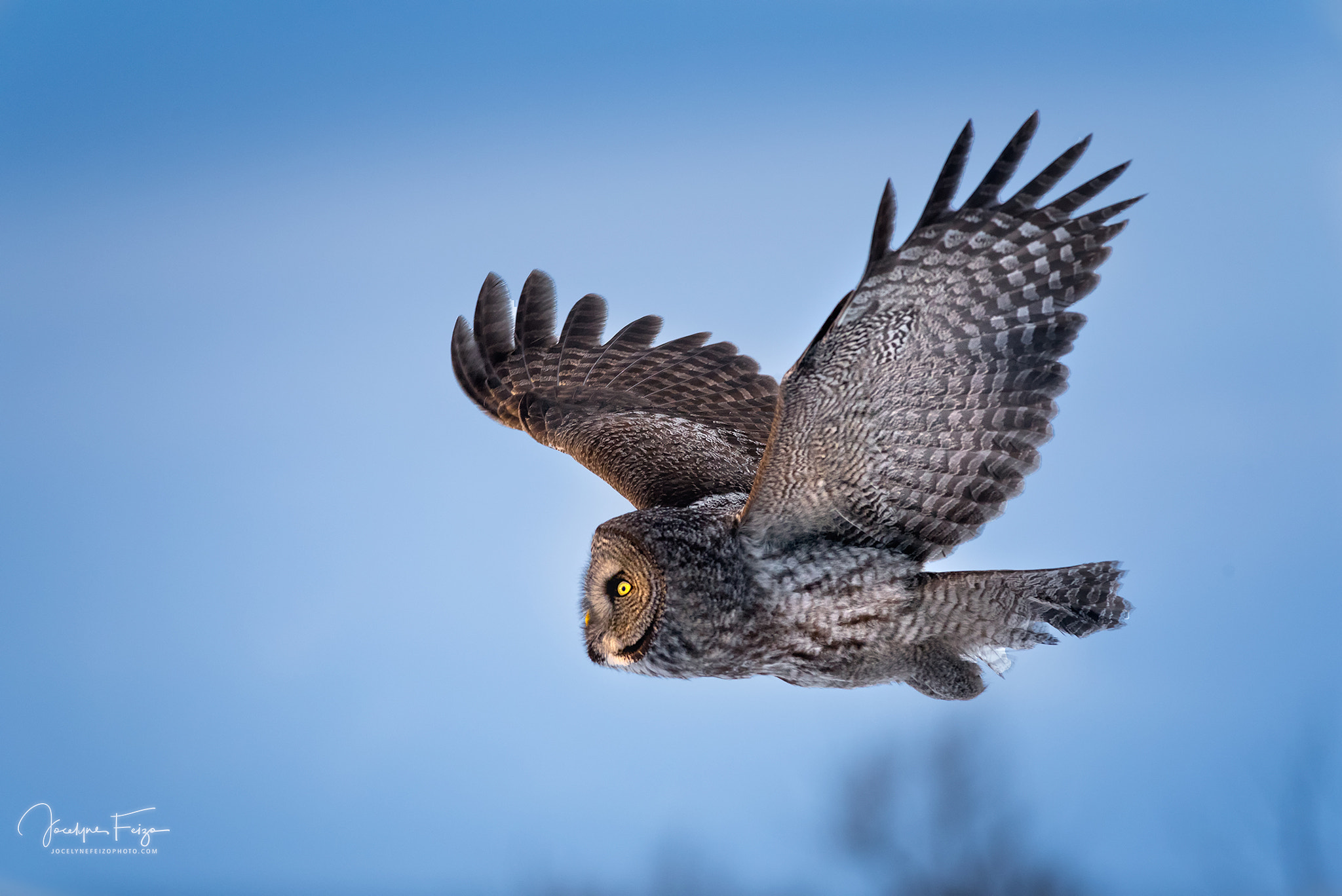 Nikon D750 + Nikon AF-S Nikkor 300mm F4D ED-IF sample photo. Flying toward night photography