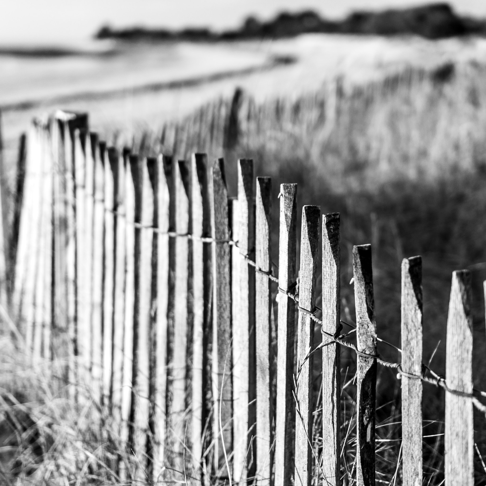 Sony Alpha NEX-6 + Sony E 35mm F1.8 OSS sample photo. Coastal fence photography