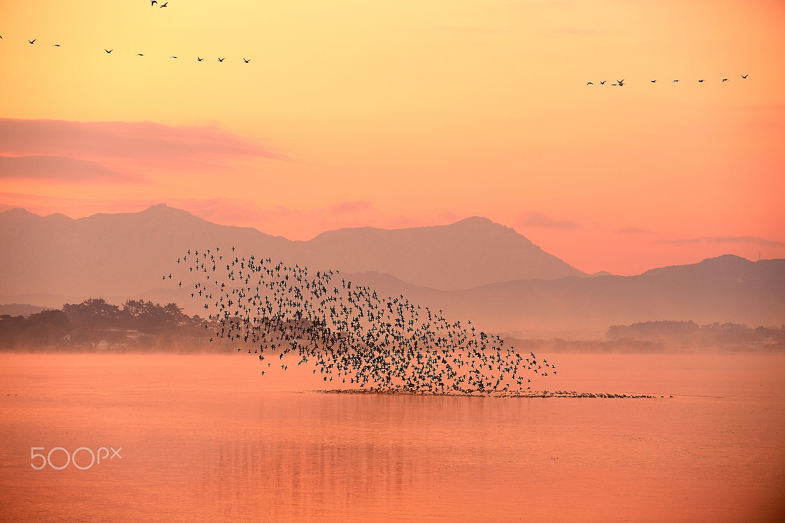 Nikon D4 sample photo. Morning photography