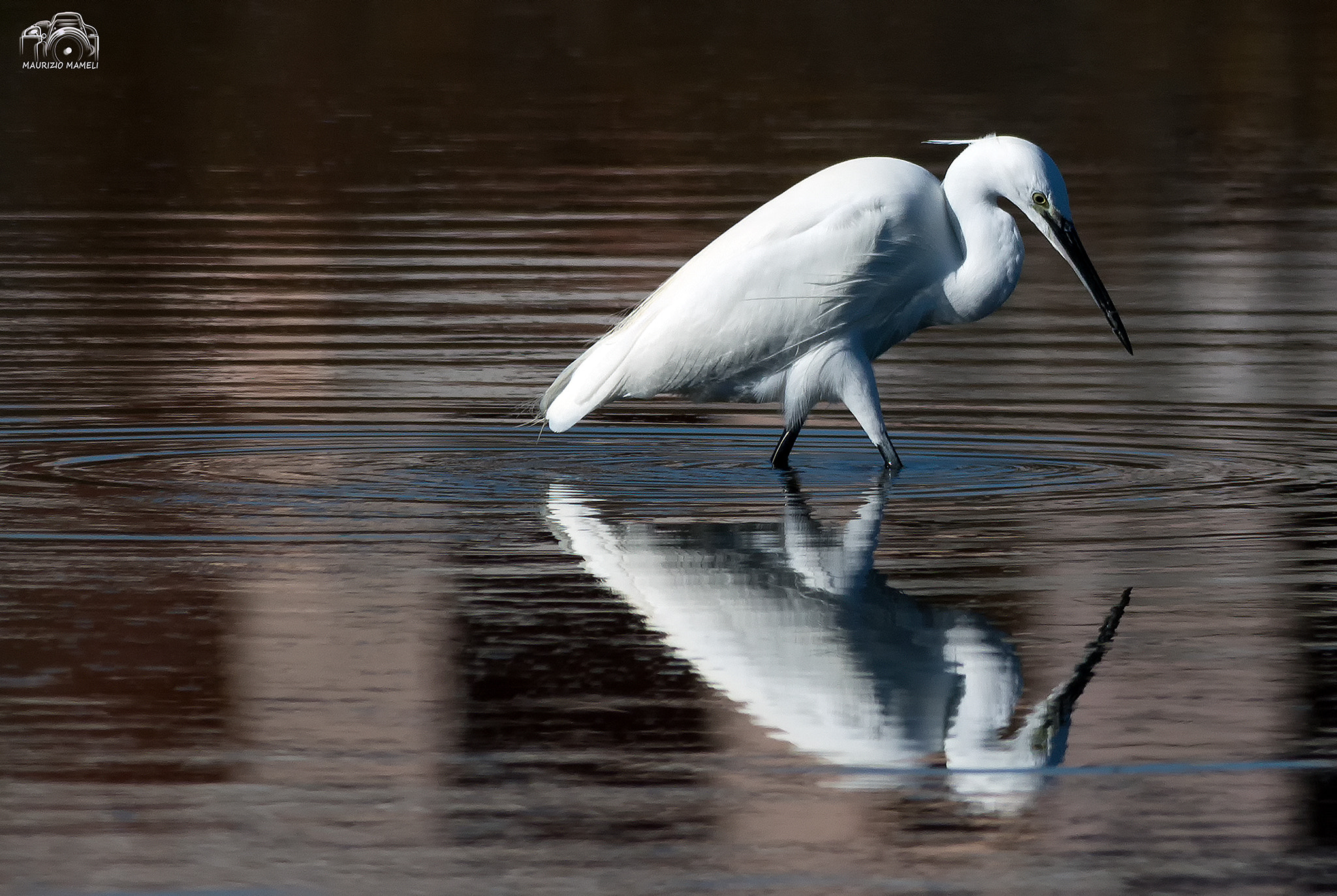 Pentax K-3 sample photo. Reflected photography