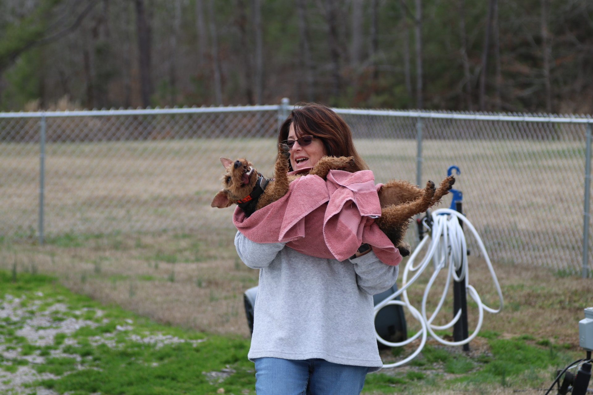 Canon EOS 750D (EOS Rebel T6i / EOS Kiss X8i) sample photo. Millie gets dried off photography