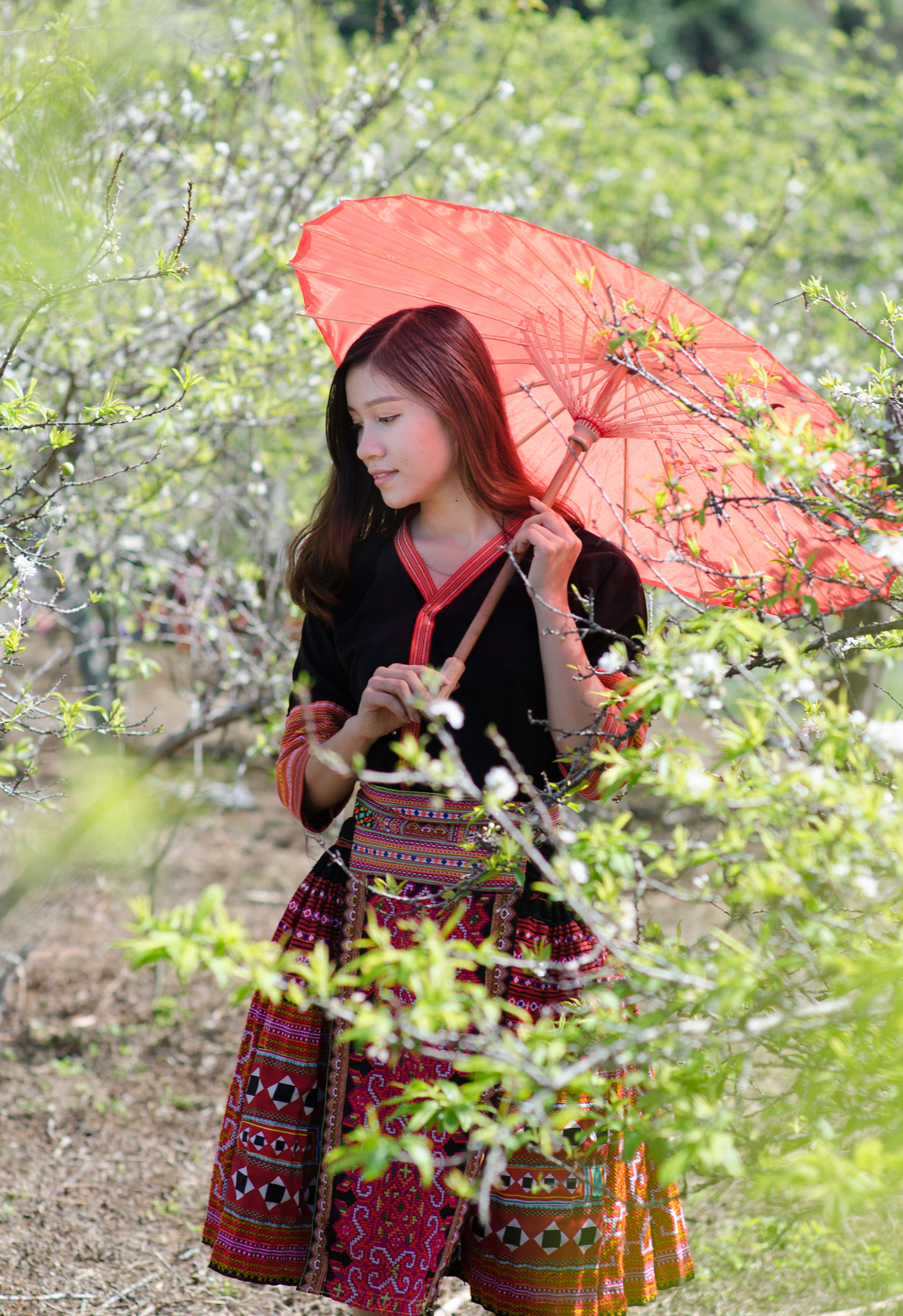 ZEISS Planar T* 85mm F1.4 sample photo. Abc photography