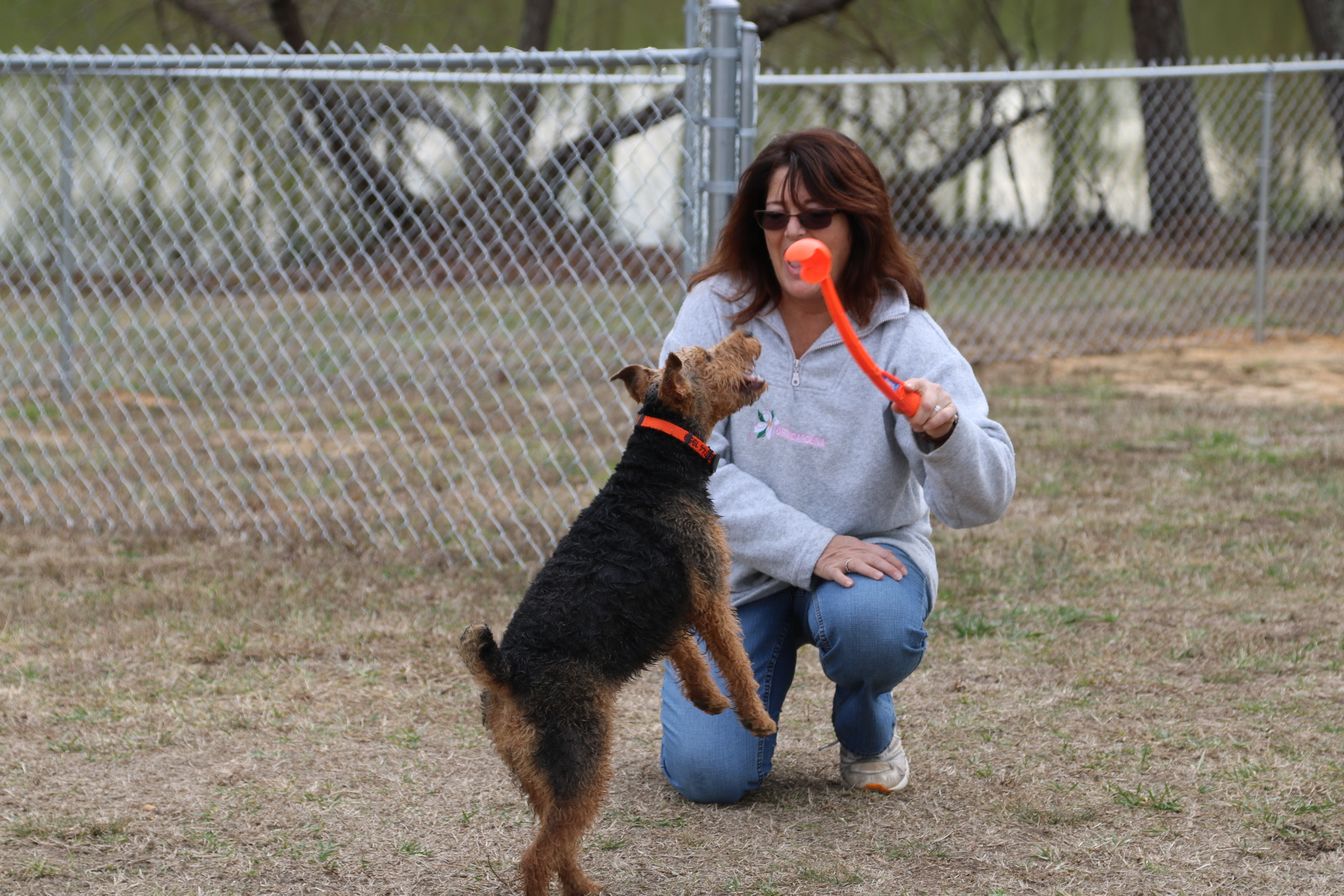 Canon EOS 750D (EOS Rebel T6i / EOS Kiss X8i) sample photo. Mille is ready for ball time photography