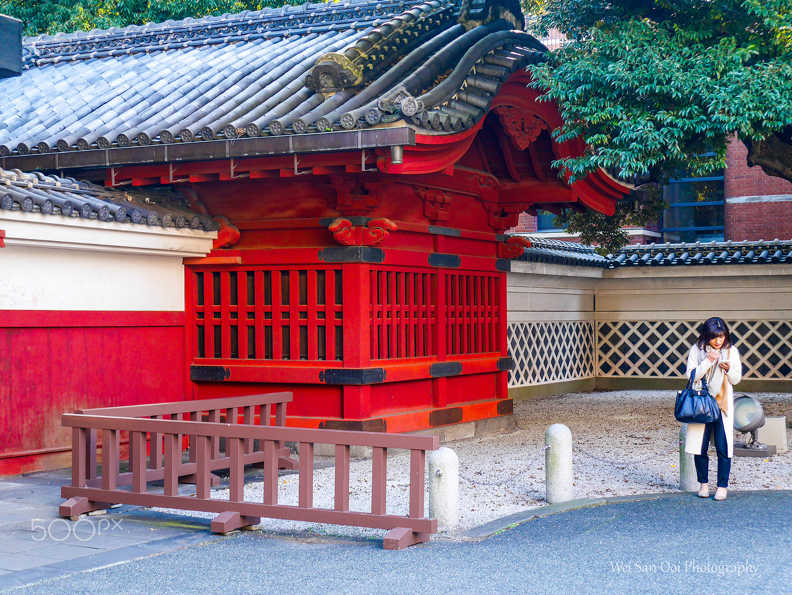 Panasonic Lumix DMC-GX7 sample photo. University of tokyo 07 photography