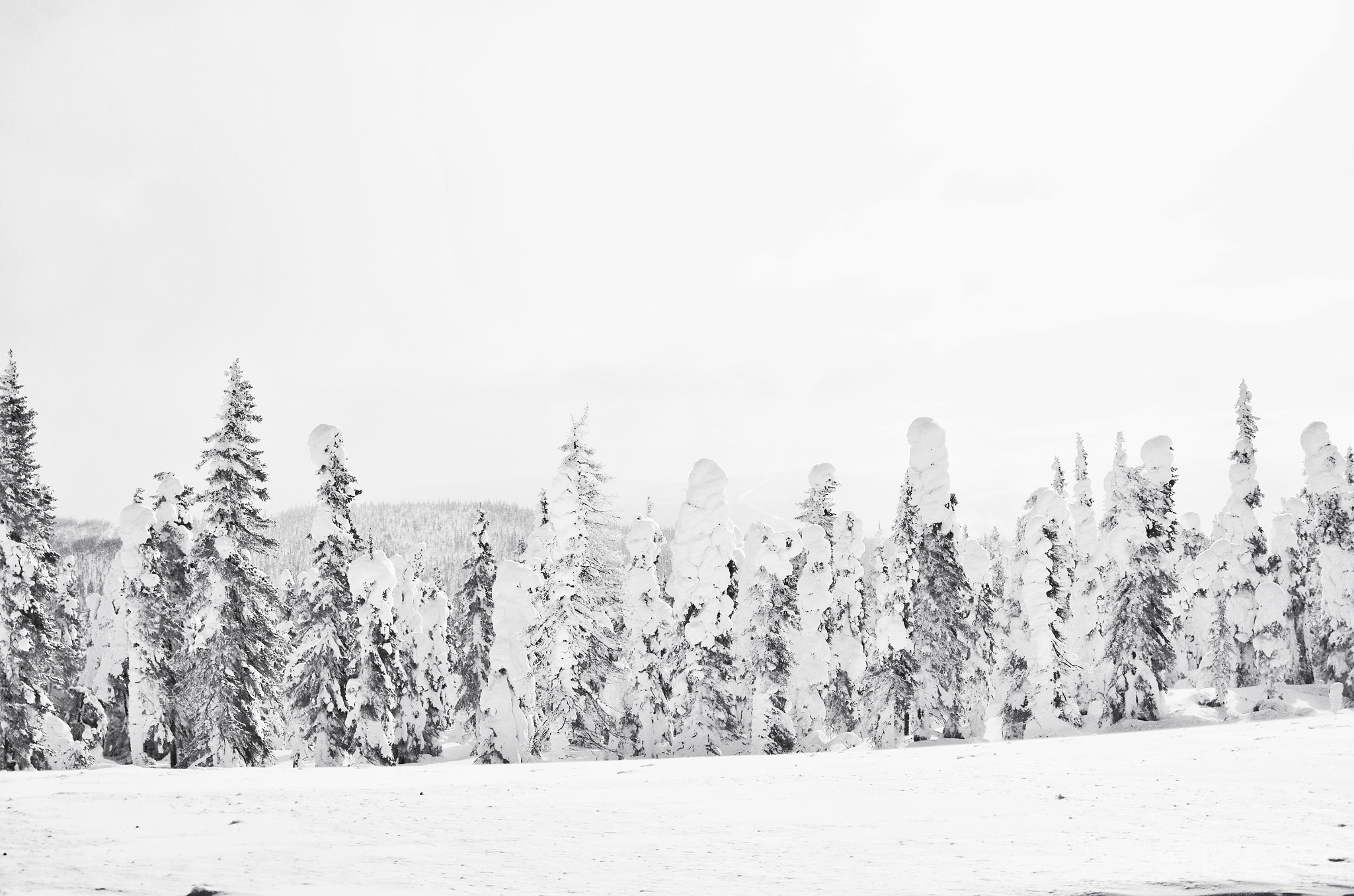 Pentax K-5 IIs sample photo. Snow photography