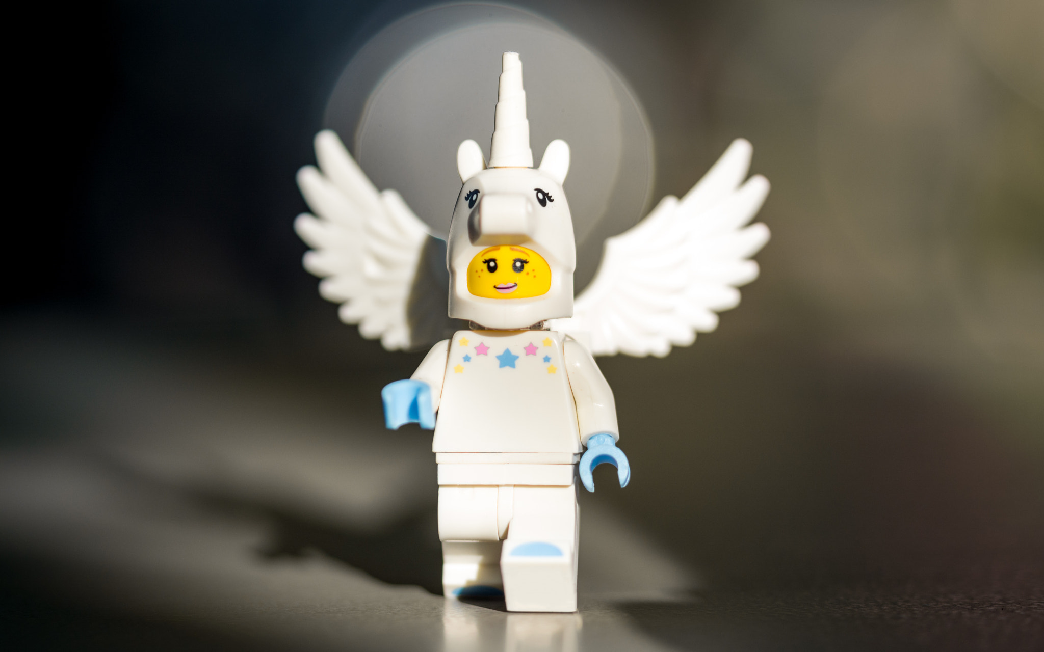 Sigma 105mm F2.8 EX DG OS HSM sample photo. The last winged unicorn photography