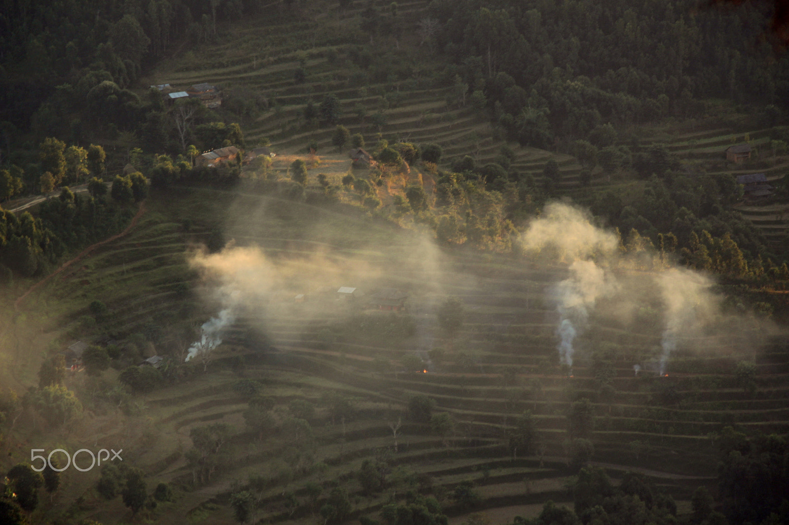 Canon EF-S 55-250mm F4-5.6 IS II sample photo. Paddy fields photography