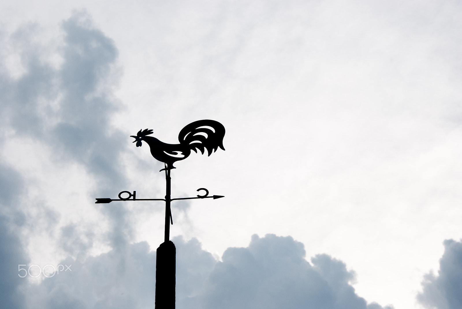 Nikon D3000 sample photo. Weather vane on photography