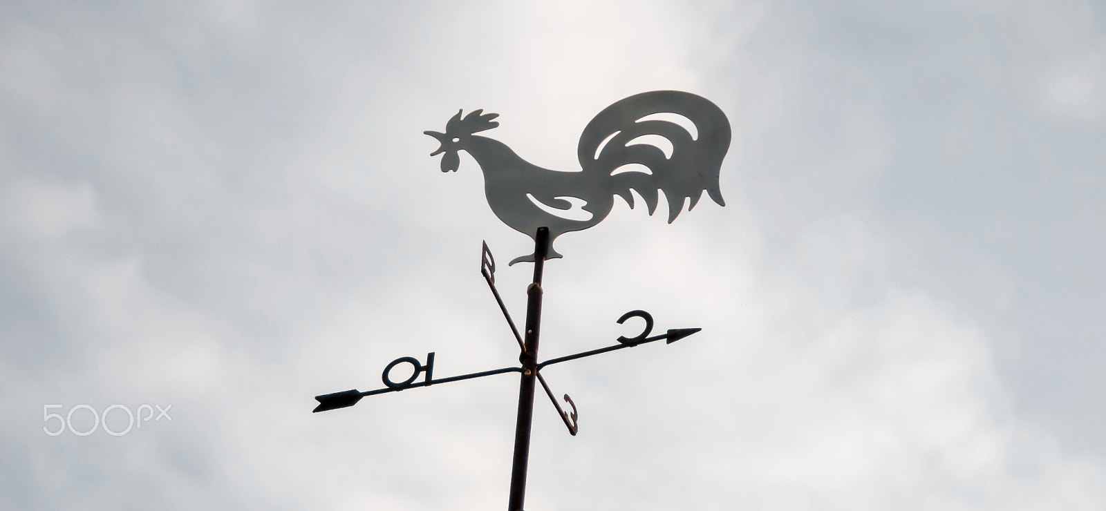 Nikon D3000 sample photo. Weather vane photography