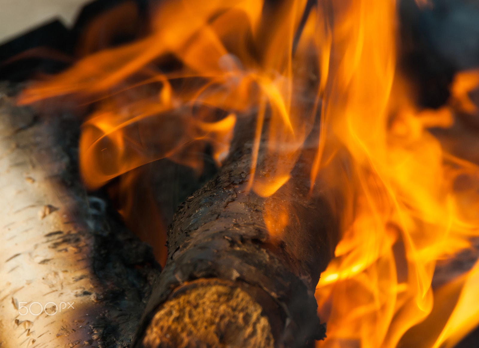 Nikon D3000 sample photo. Burning fire wood photography