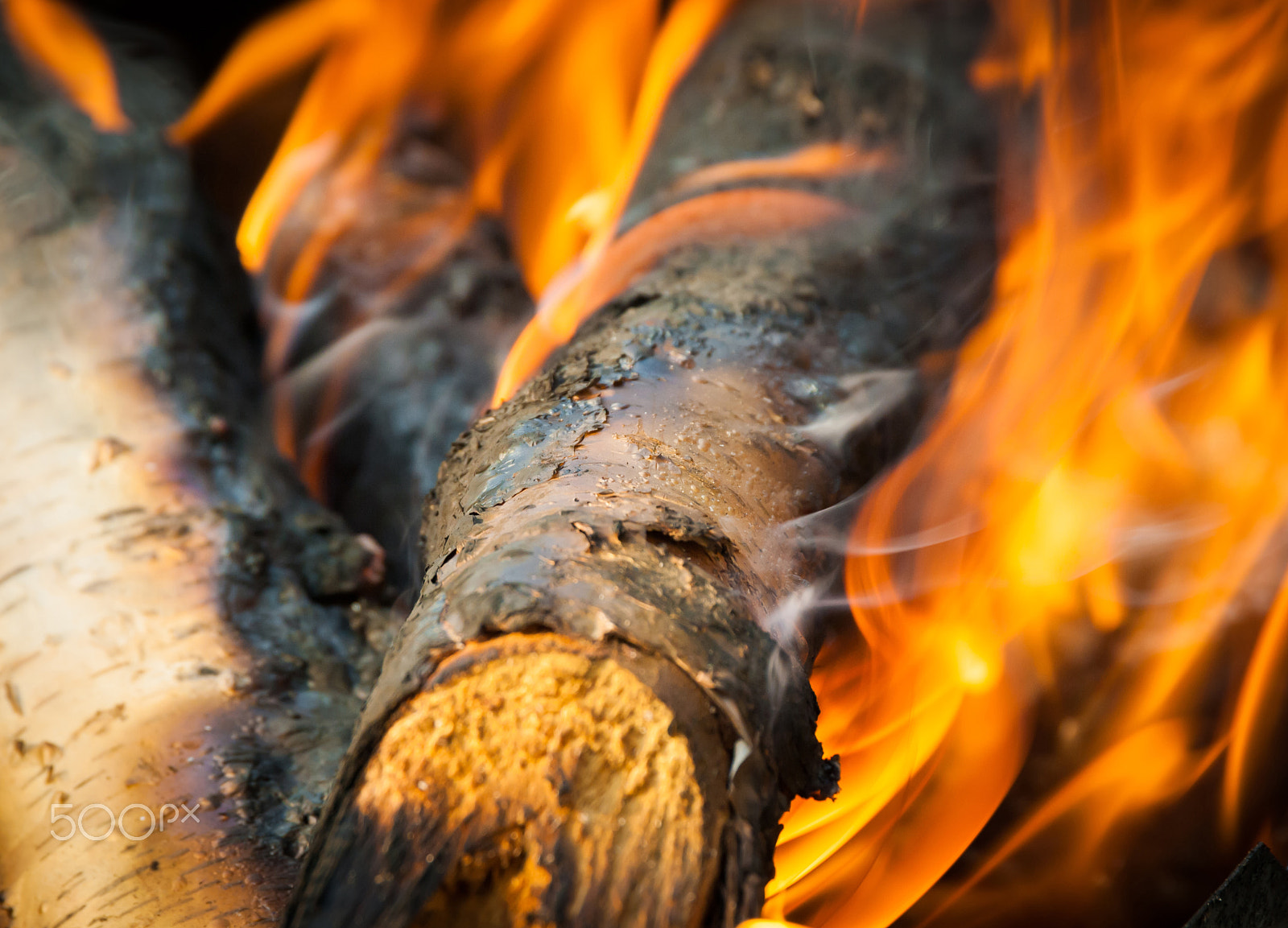 Nikon D3000 sample photo. Burning fire photography