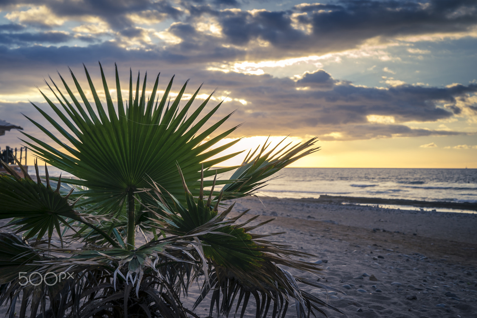 Sony Planar T* FE 50mm F1.4 ZA sample photo. Las americas tenerife beach photography