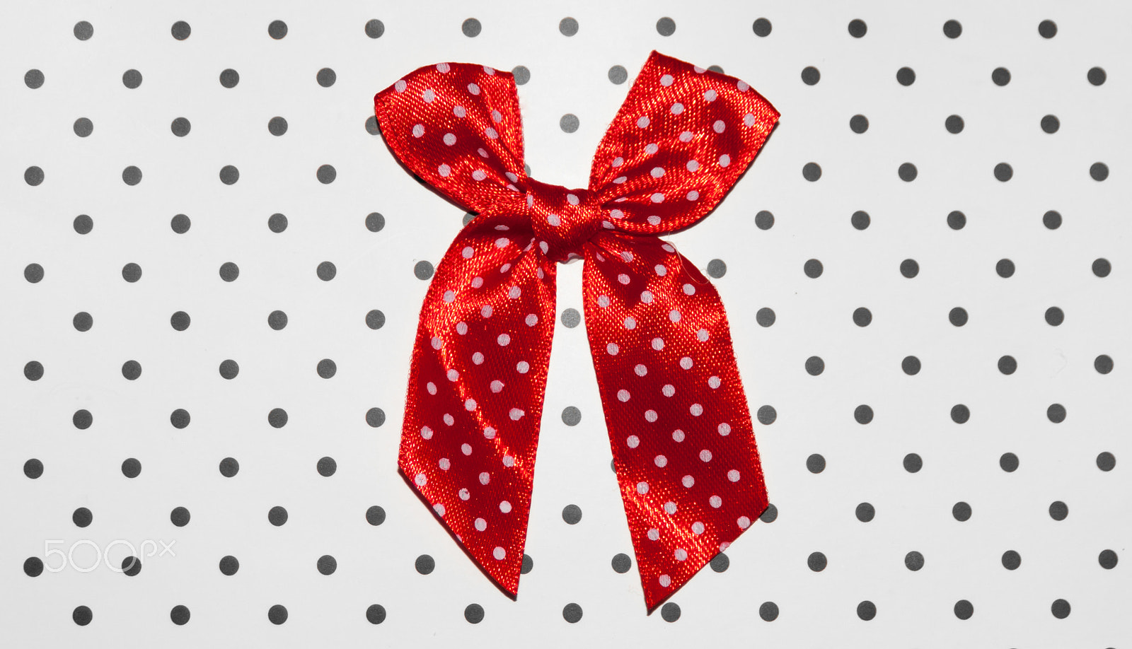 Nikon D3000 sample photo. Red bow photography