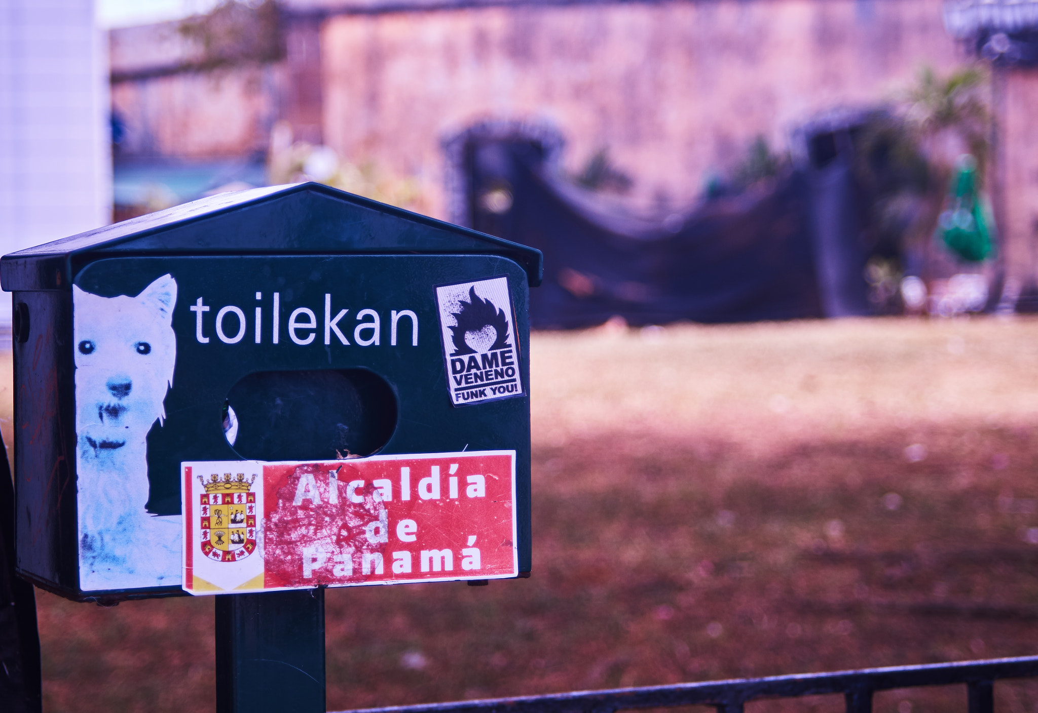 Sony SLT-A57 + 35-70mm F4 sample photo. Toilekan photography