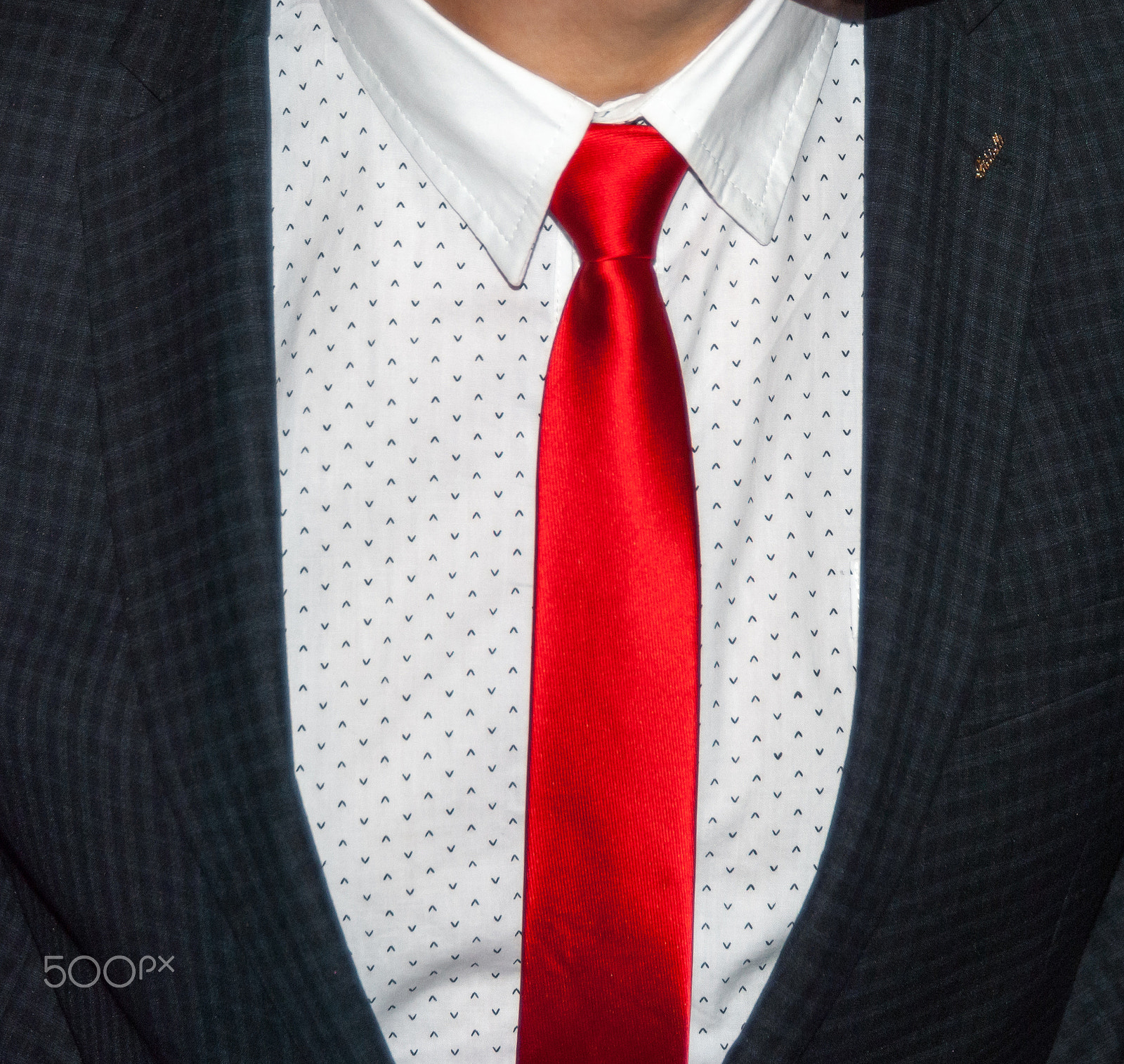 Nikon D3000 sample photo. Red tie photography