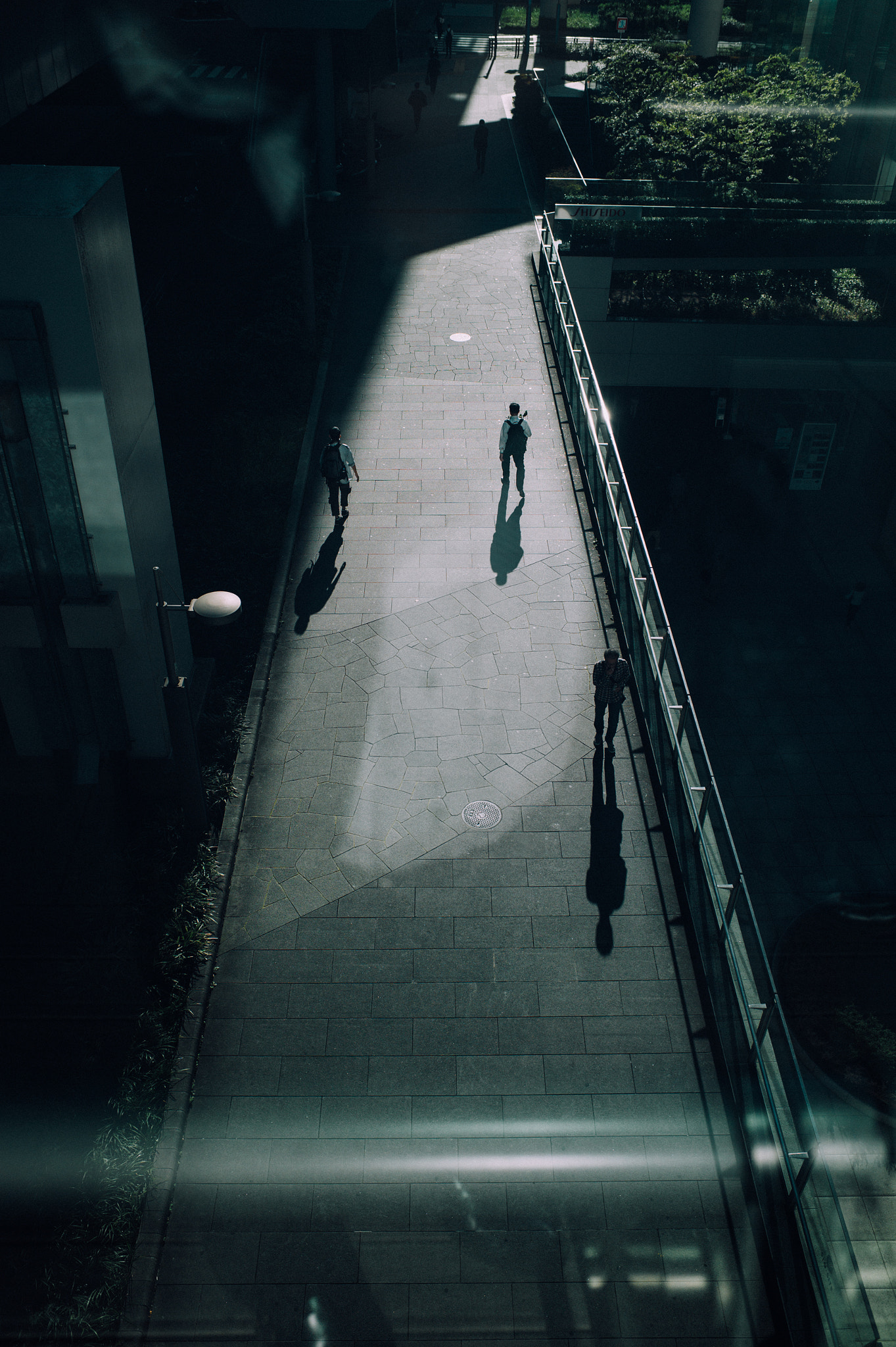 Leica Summicron-M 28mm F2 ASPH sample photo. The valley floor photography