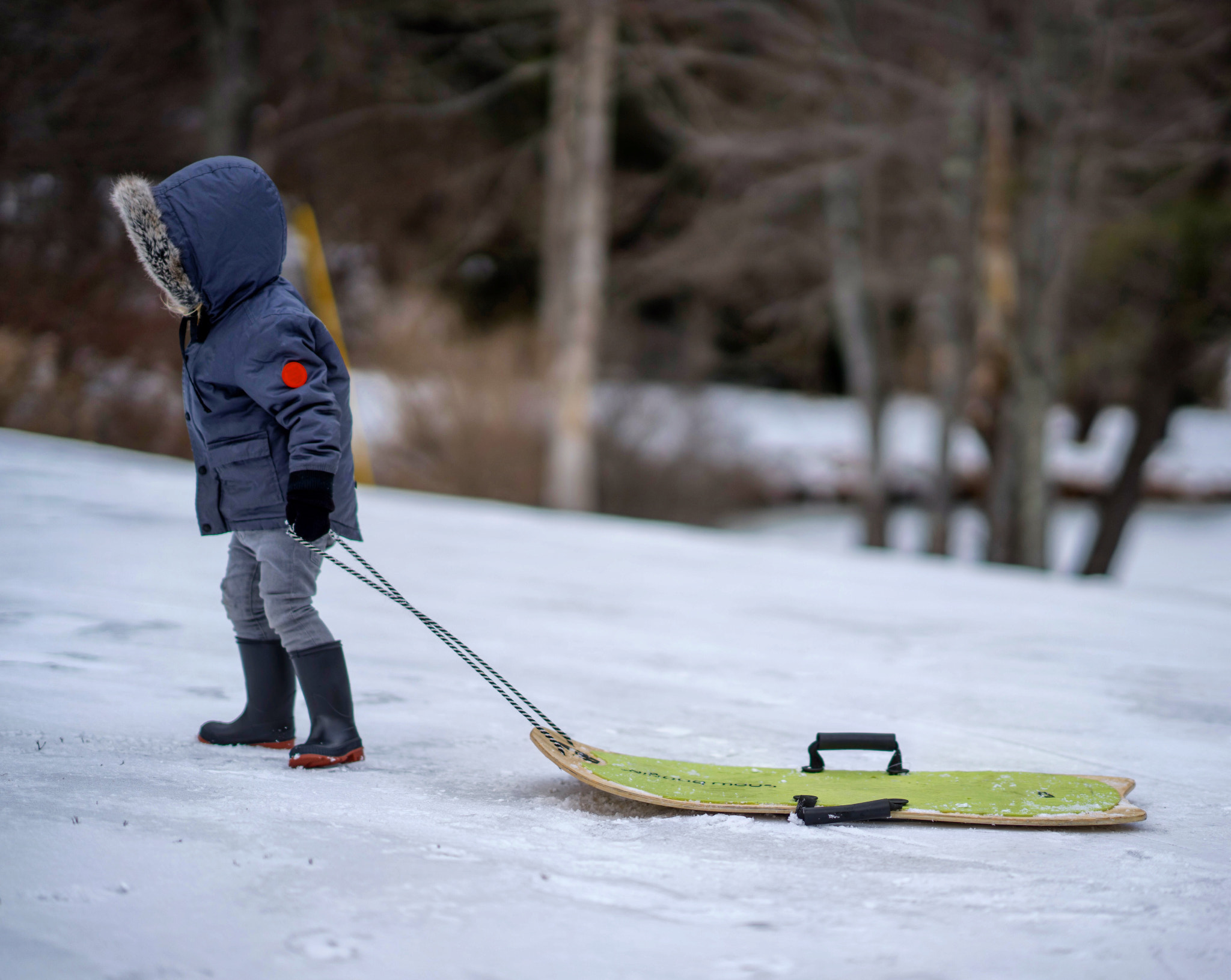 Sony a7 II + Sony FE 85mm F1.4 GM sample photo. Kid with a sled photography