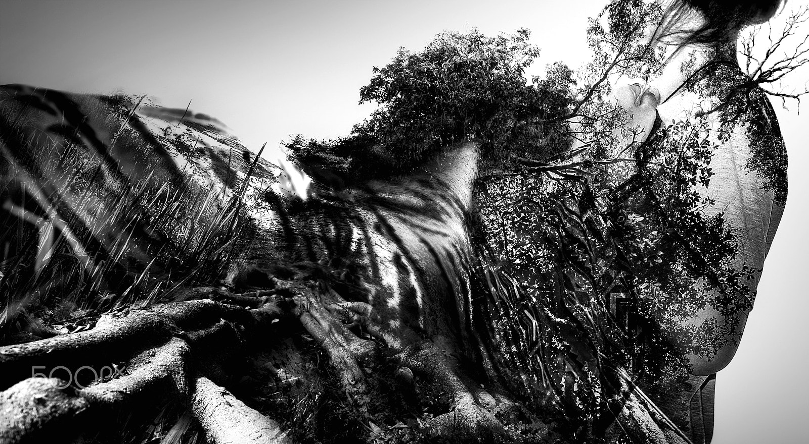 Nikon D300S sample photo. Double exposure toghether photography