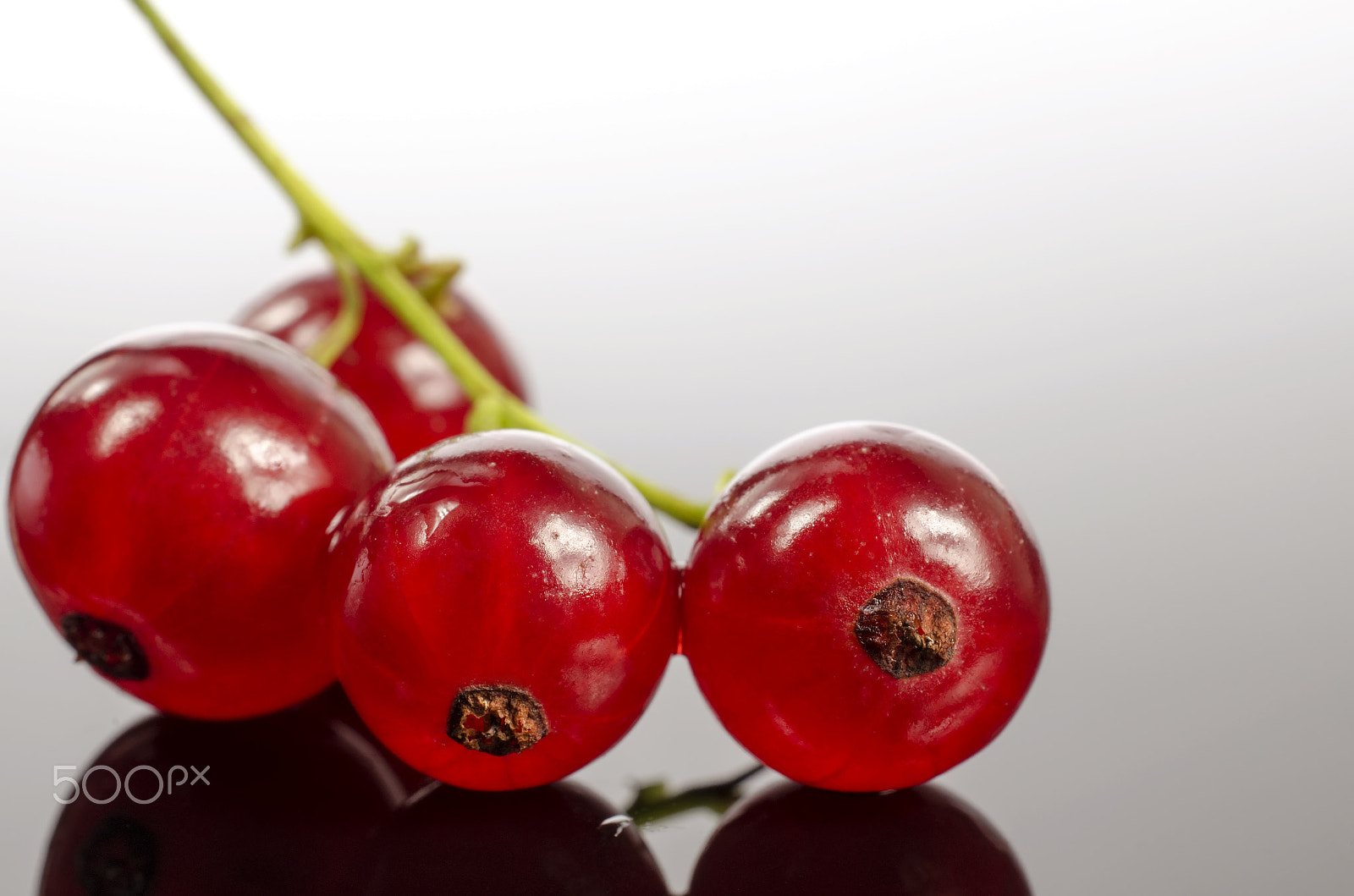 Nikon AF-S DX Micro Nikkor 40mm F2.8 sample photo. Branch of red currants photography