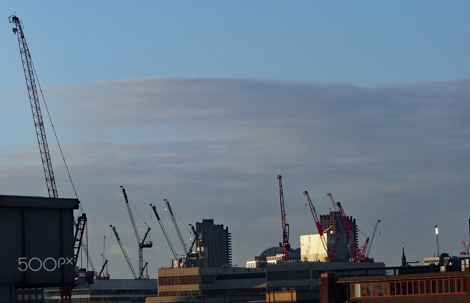 Sony DSC-WX100 sample photo. Cranes photography